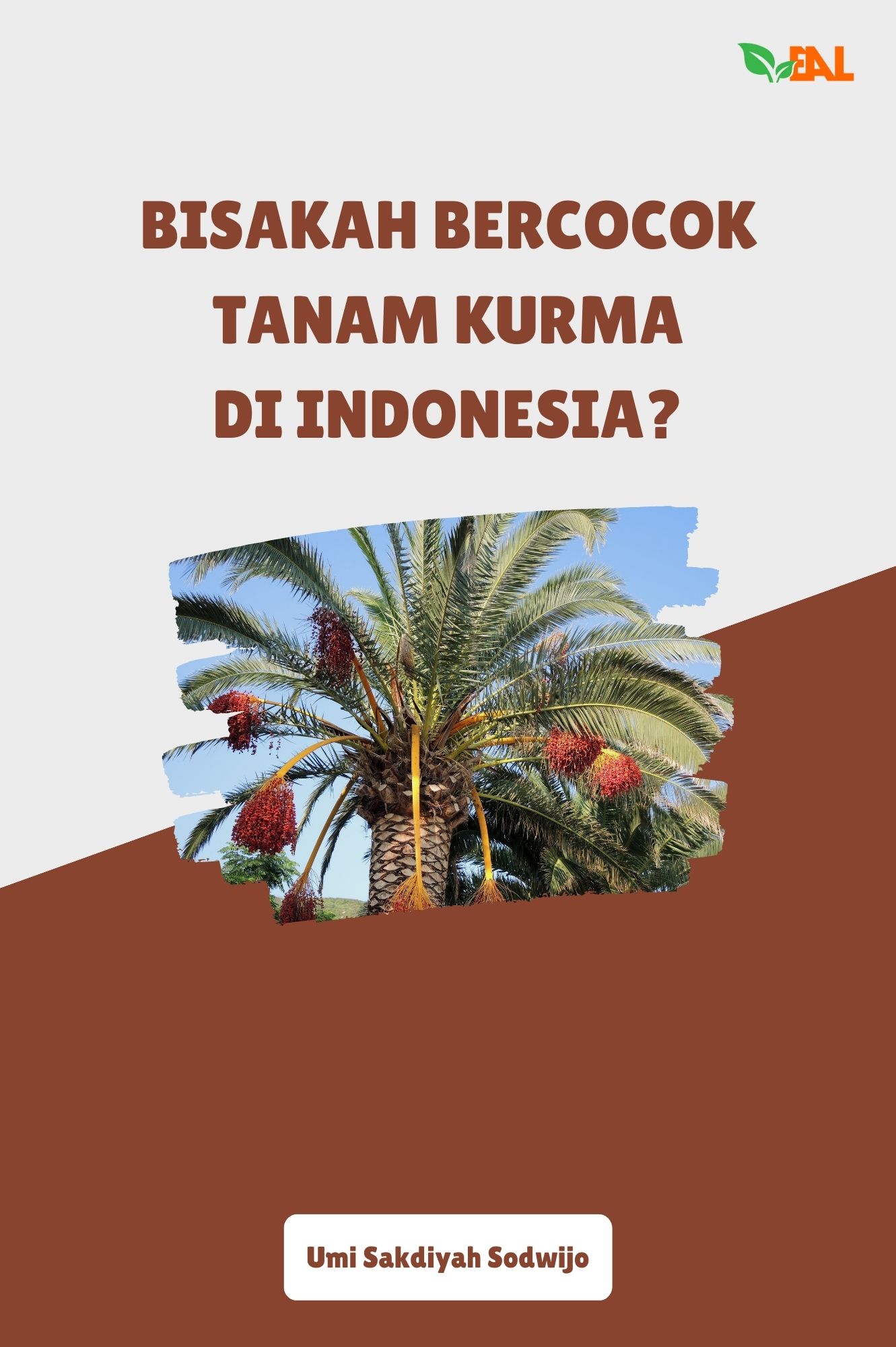 Bisakah Bercocok Tanam Kurma di Indonesia?