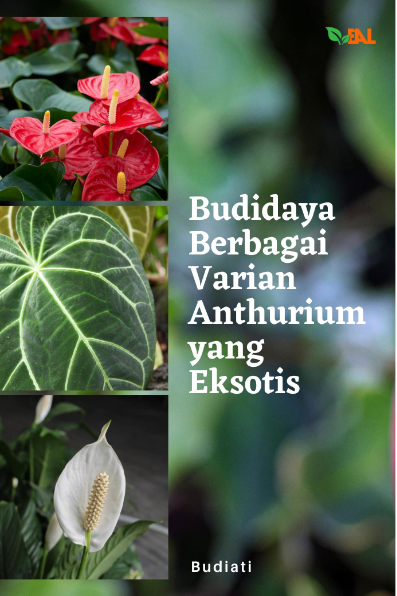 Budidaya Berbagai Varian Anthurium yang Eksotis