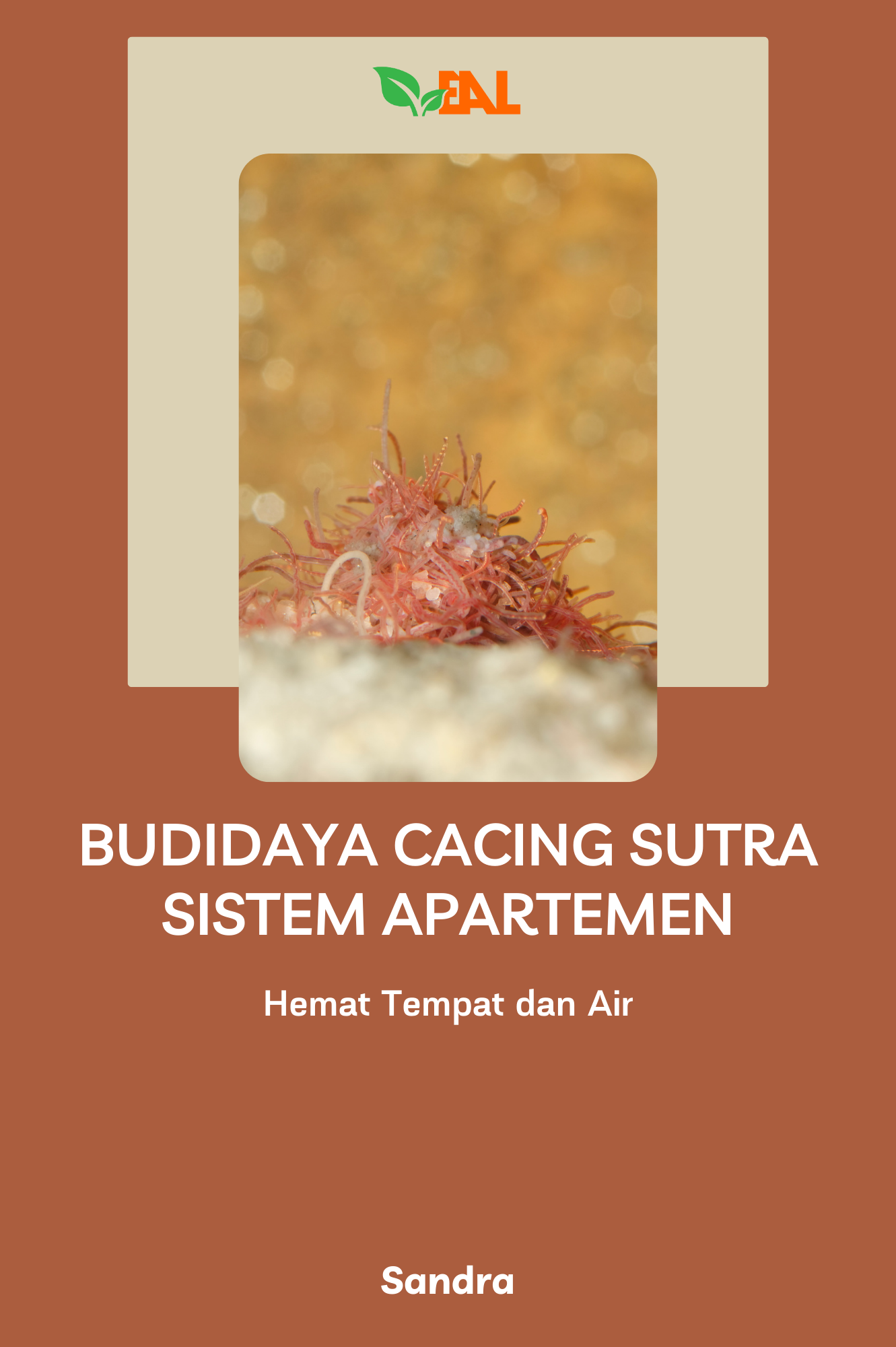 Budidaya Cacing Sutra Sistem Apartemen : Hemat Tempat dan Air