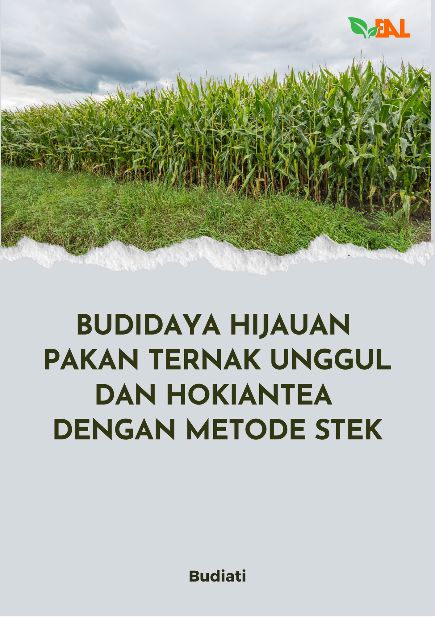Budidaya Hijauan Pakan Ternak Unggul dan Hokiantea dengan Metode Stek