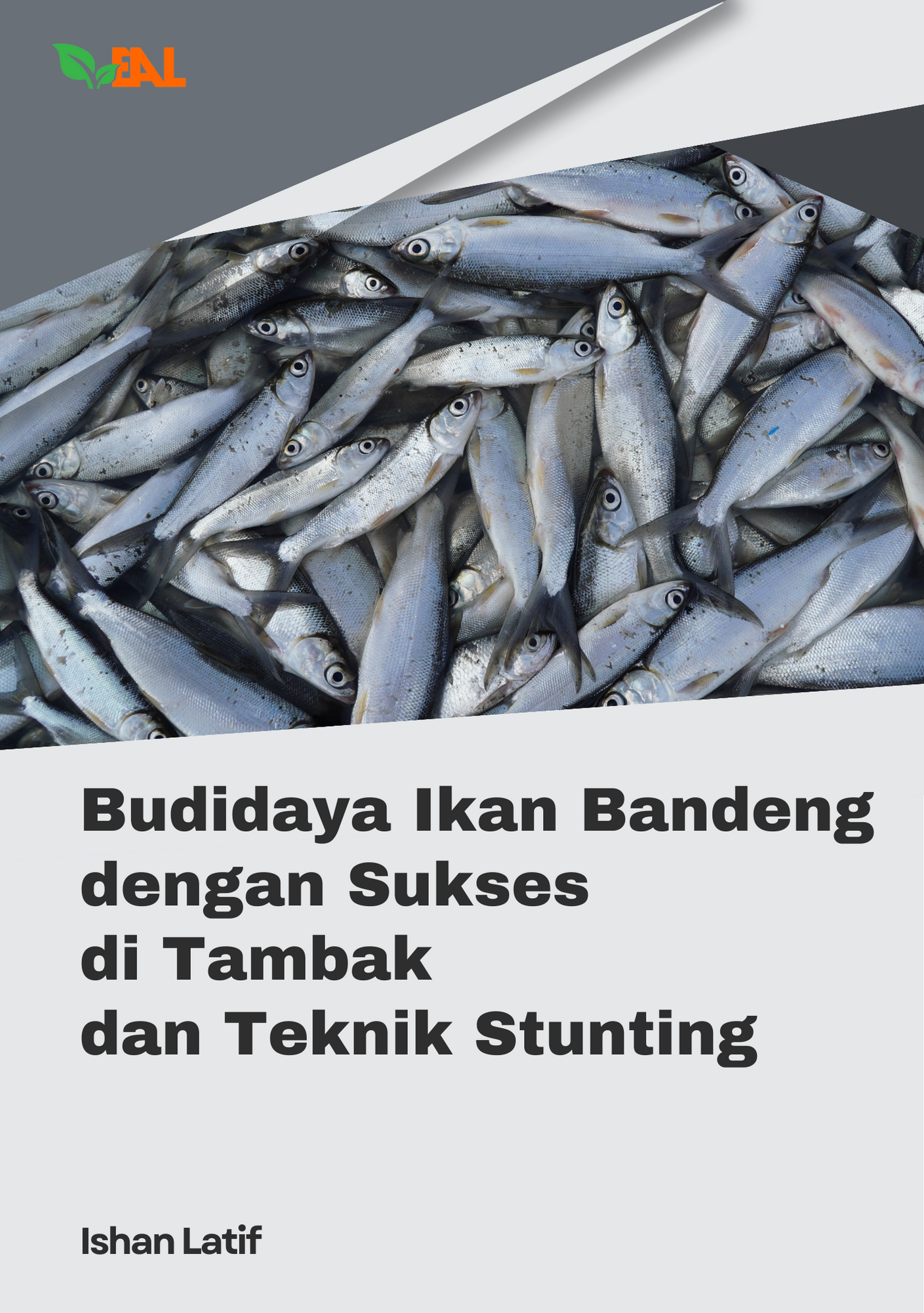 Budidaya Ikan Bandeng dengan Sukses di Tambak dan Teknik Stunting