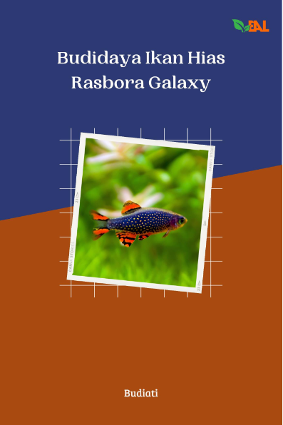 Budidaya Ikan Hias Rasbora Galaxy