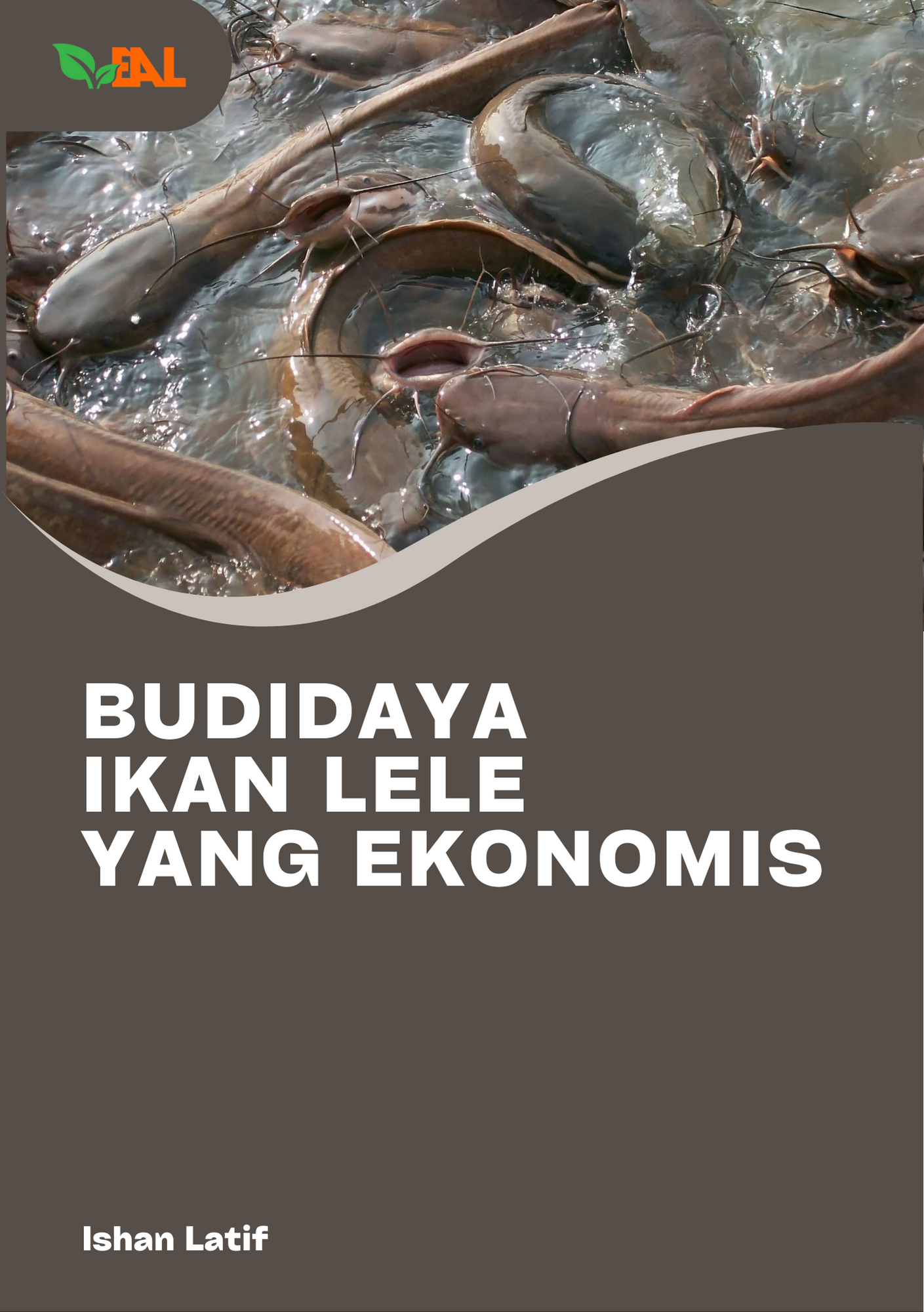 Budidaya Ikan Lele yang Ekonomis