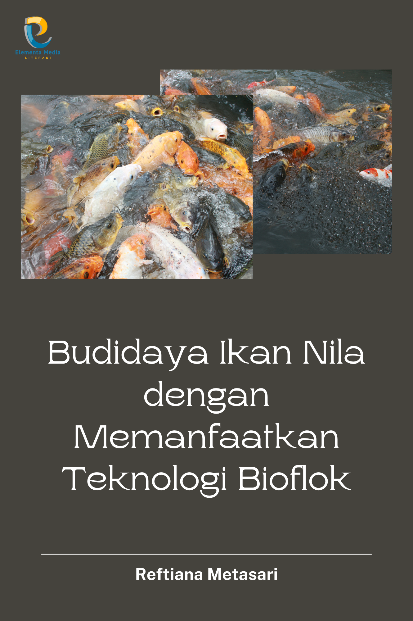 Budidaya Ikan Nila dengan memanfaatkan Teknologi Bioflok