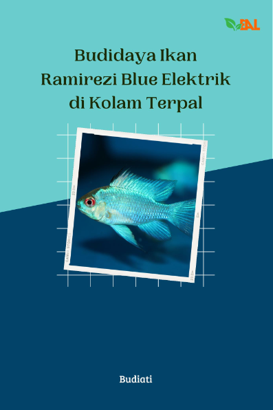 Budidaya Ikan Ramirezi Blue Elektrik di Kolam Terpal