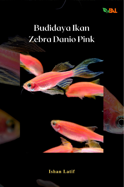 Budidaya Ikan Zebra Danio Pink