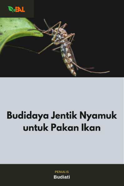 Budidaya Jentik Nyamuk untuk Pakan Ikan