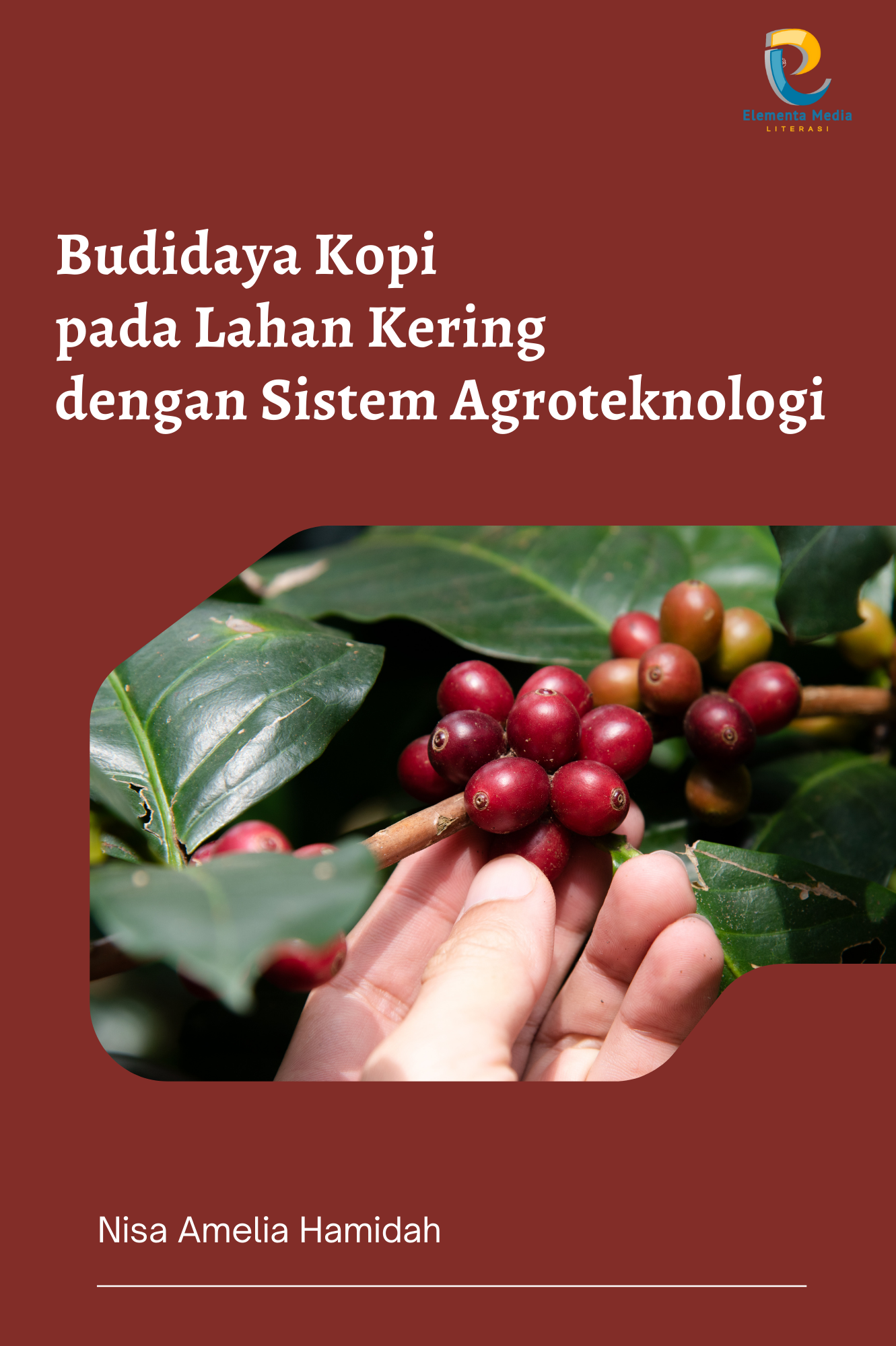 Budidaya Kopi pada Lahan Kering dengan Sistem Agroteknologi
