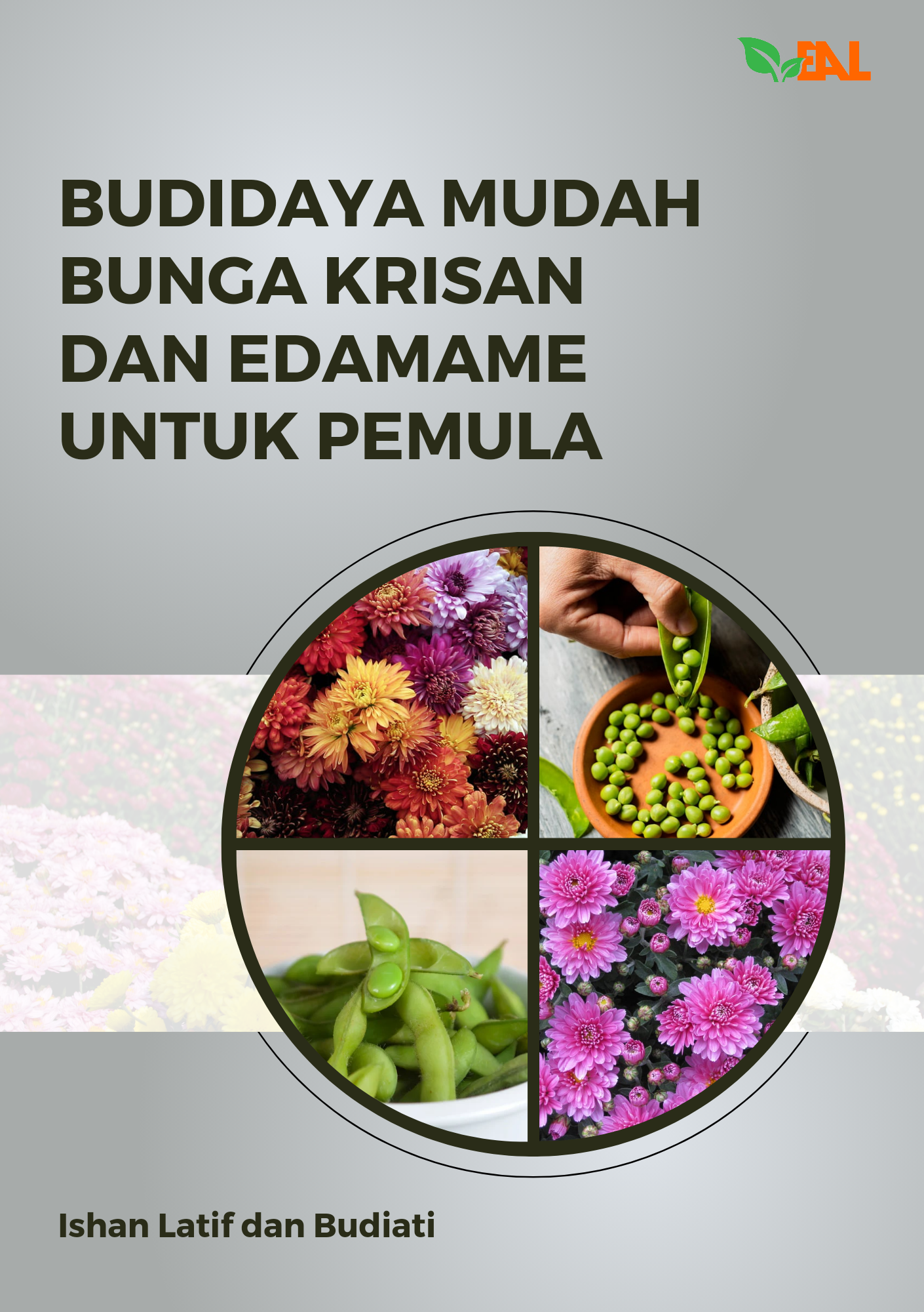 Budidaya Mudah Bunga Krisan dan Edamame untuk Pemula
