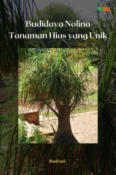 Budidaya Nolina Tanaman Hias yang Unik