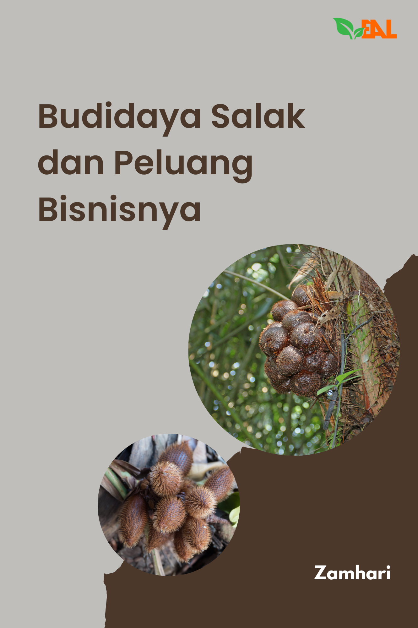 Budidaya Salak dan Peluang Bisnisnya