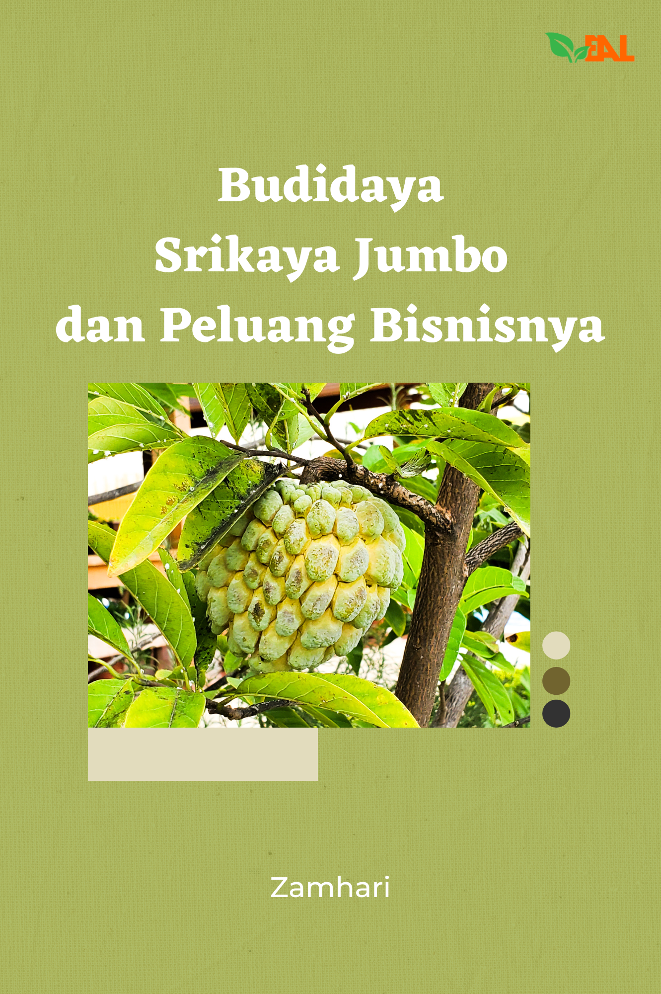 Budidaya Srikaya Jumbo dan Peluang Bisnisnya