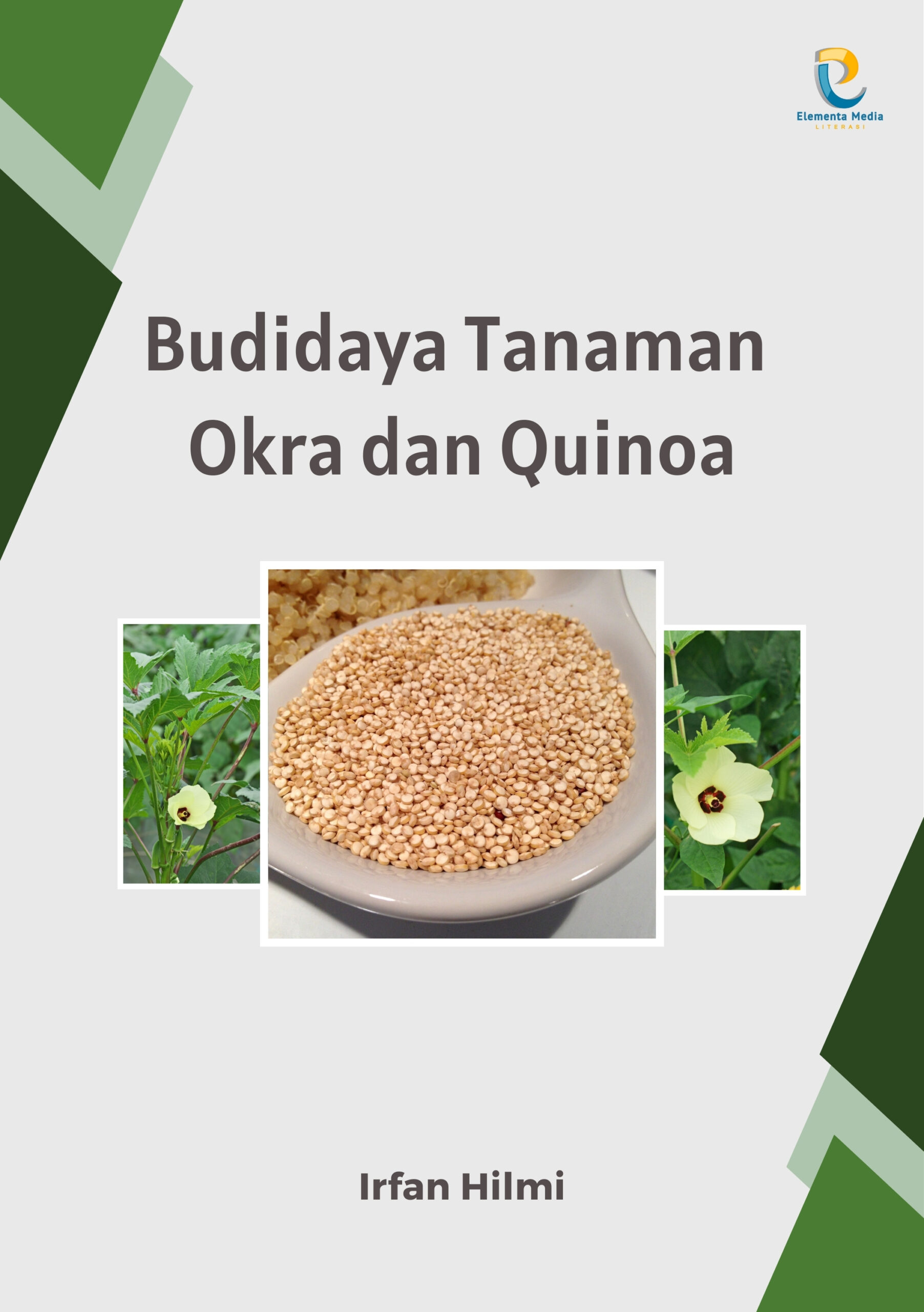 Budidaya Tanaman Okra dan Quinoa