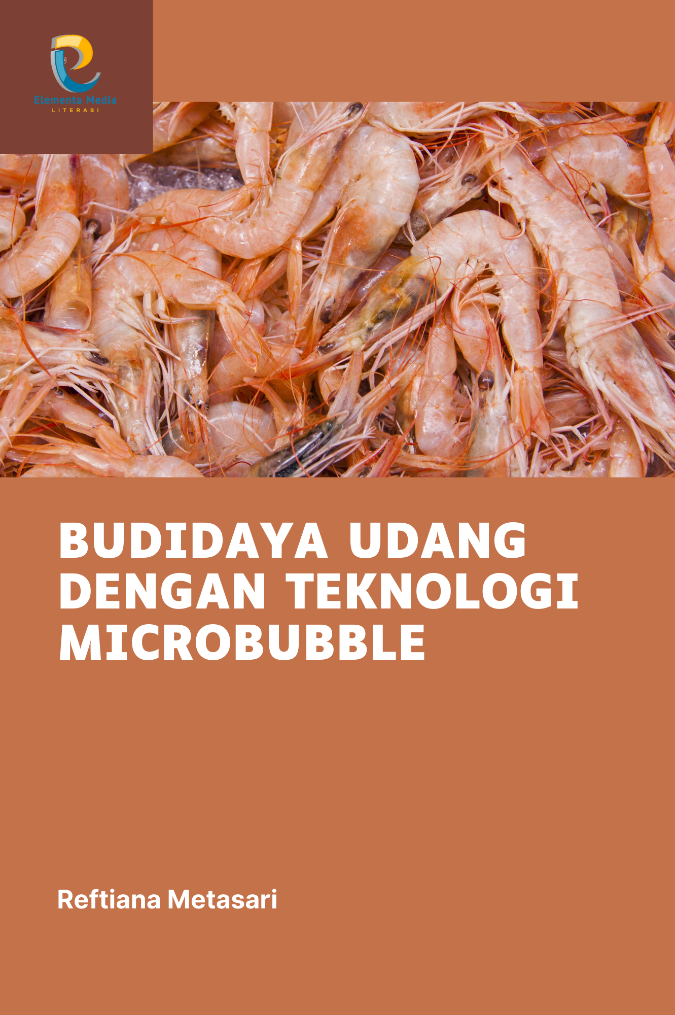 Budidaya Udang dengan Teknologi Microbubble