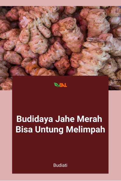 Budidaya Jahe Merah Bisa Untung Melimpah