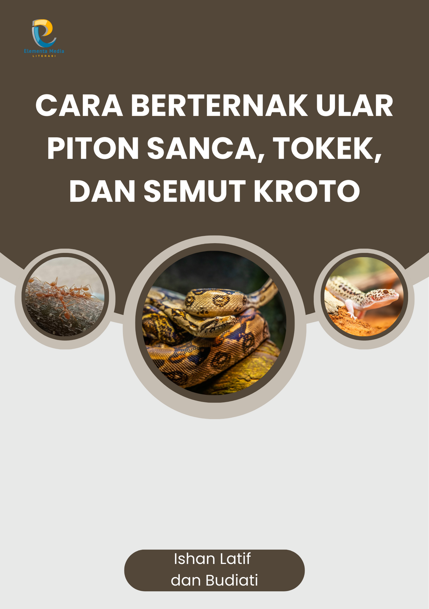 Cara Berternak Ular Piton Sanca, Tokek, dan Semut Kroto