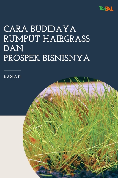 Cara Budidaya Rumput Hairgrass dan Prospek Bisnisnya