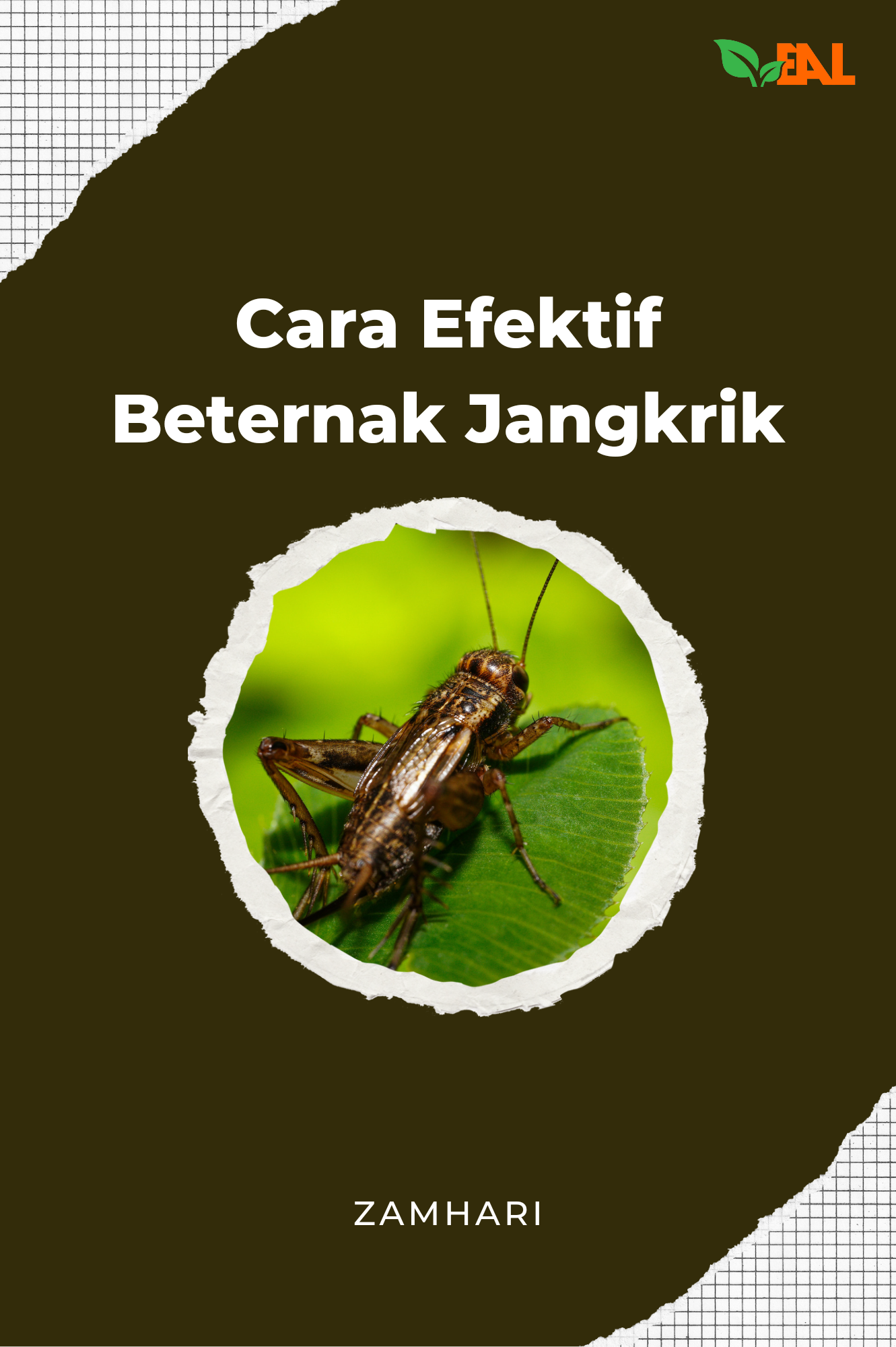 Cara Efektif Beternak Jangkrik