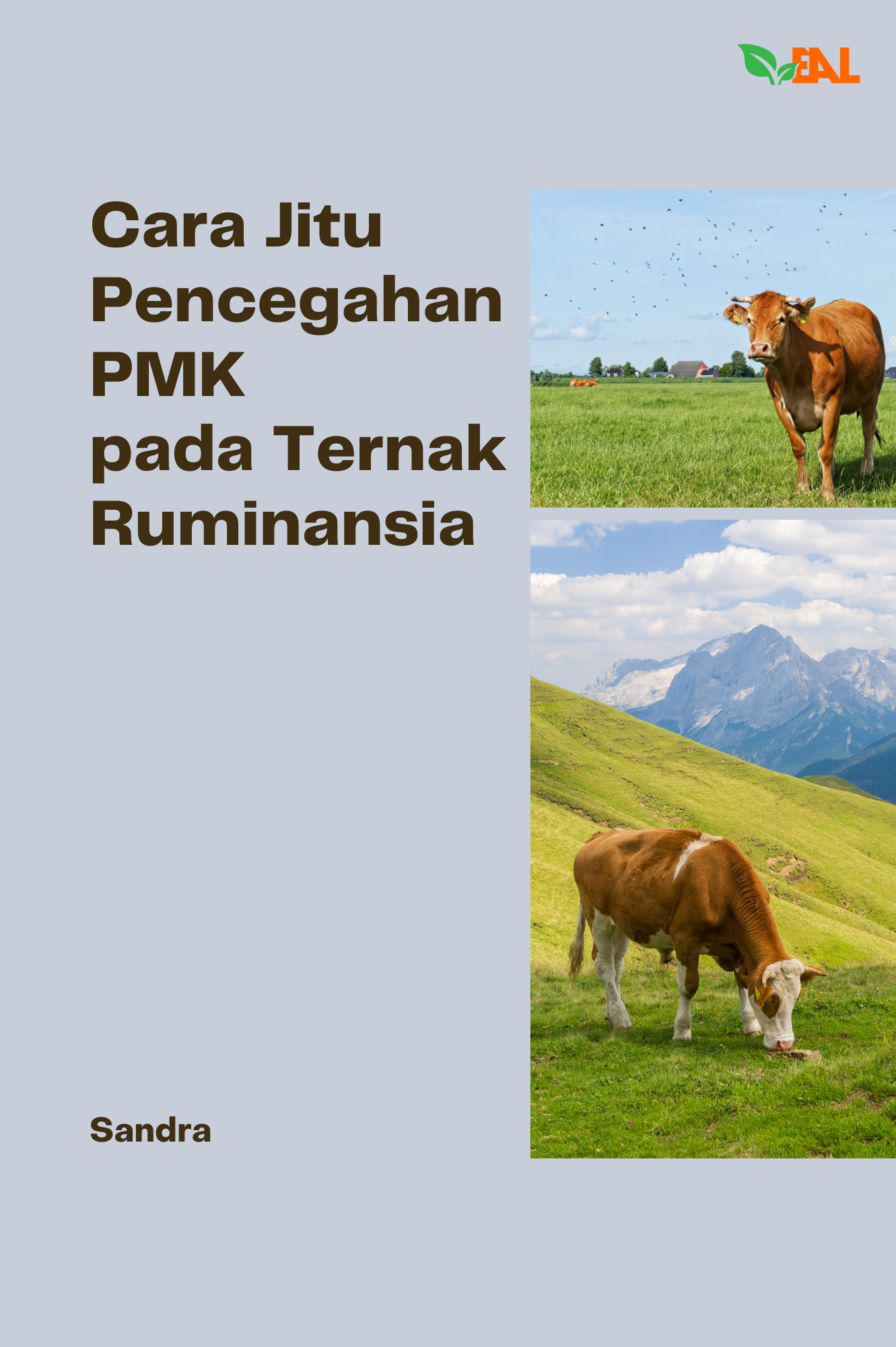 Cara Jitu Pencegahan Pmk pada Ternak Ruminansia