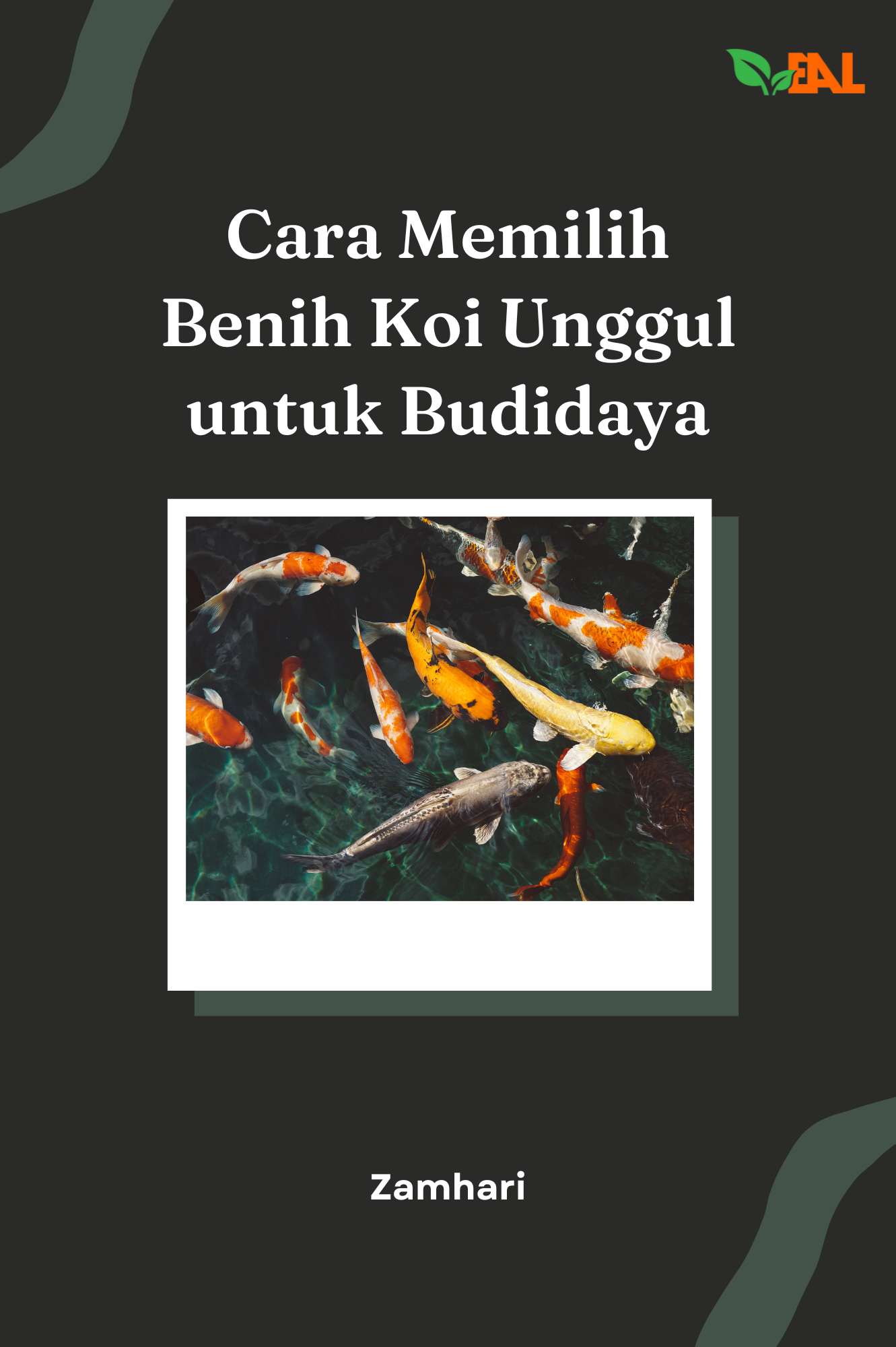 Cara Memilih Benih Koi Unggul untuk Budidaya