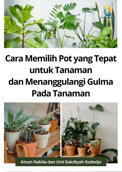 Cara Memilih Pot yang Tepat untuk Tanaman dan Menanggulangi Gulma Pada Tanaman