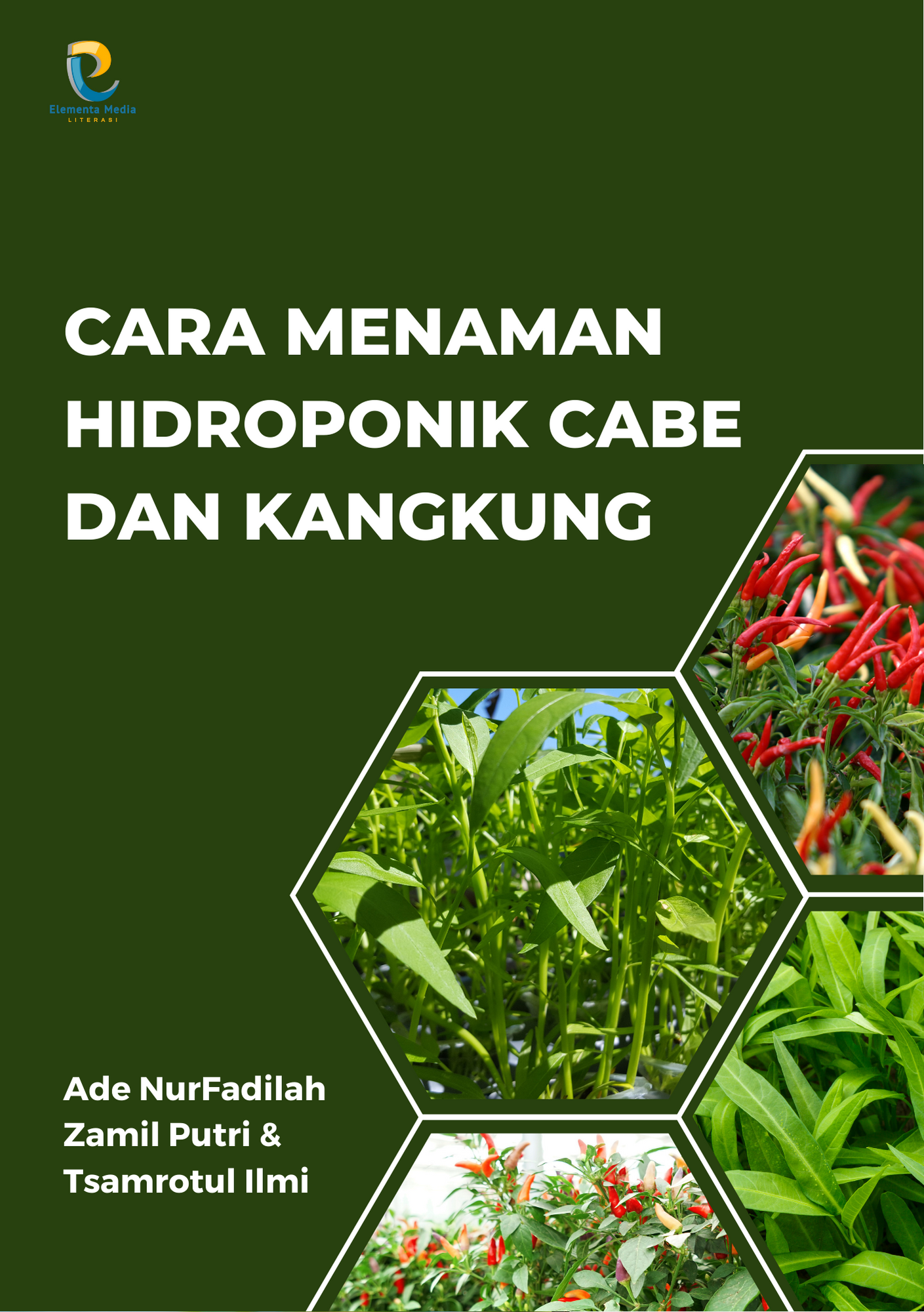Cara Menaman Hidroponik Cabe dan Kangkung