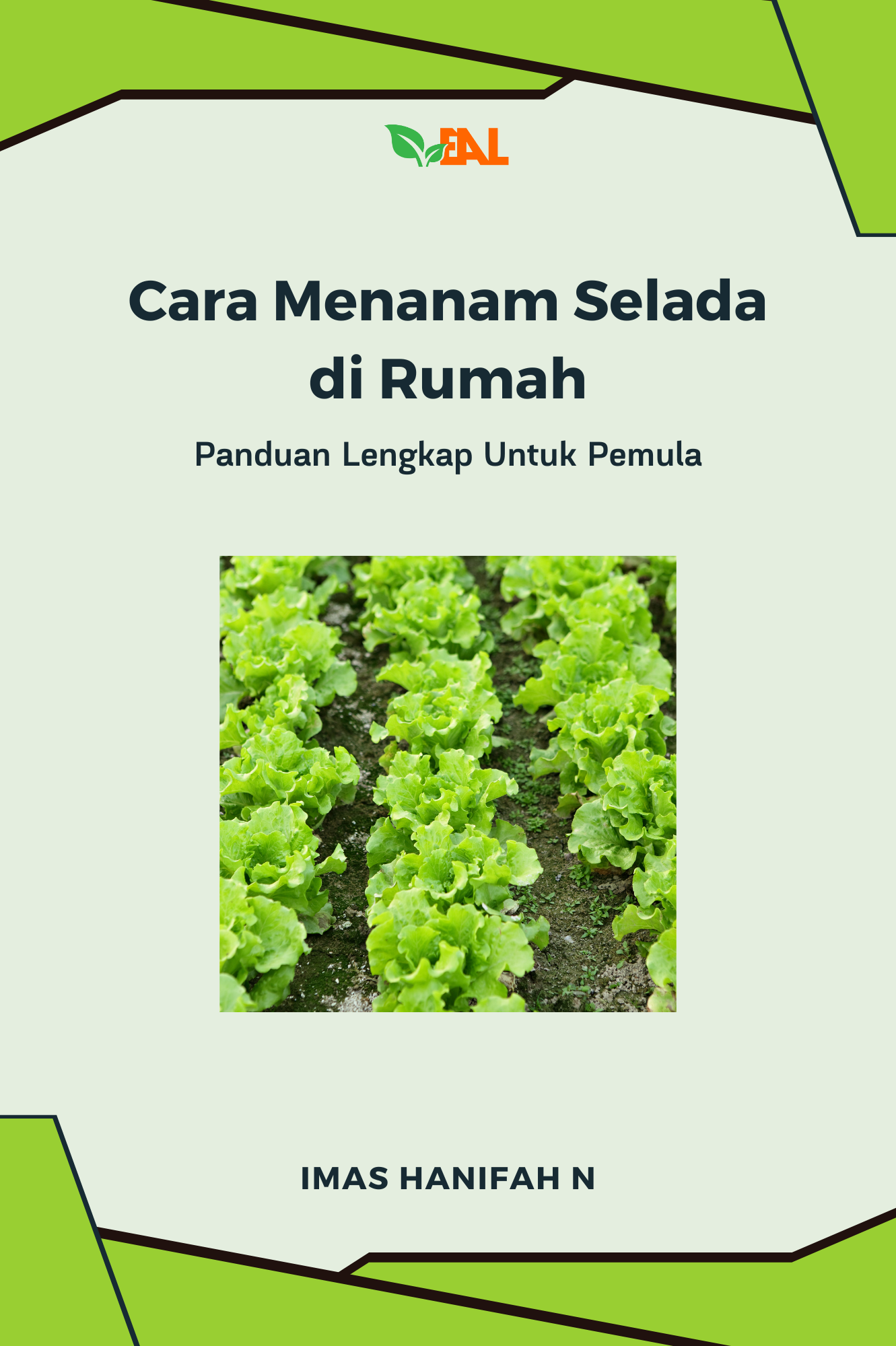 Cara Menanam Selada di Rumah : Panduan Lengkap untuk Pemula