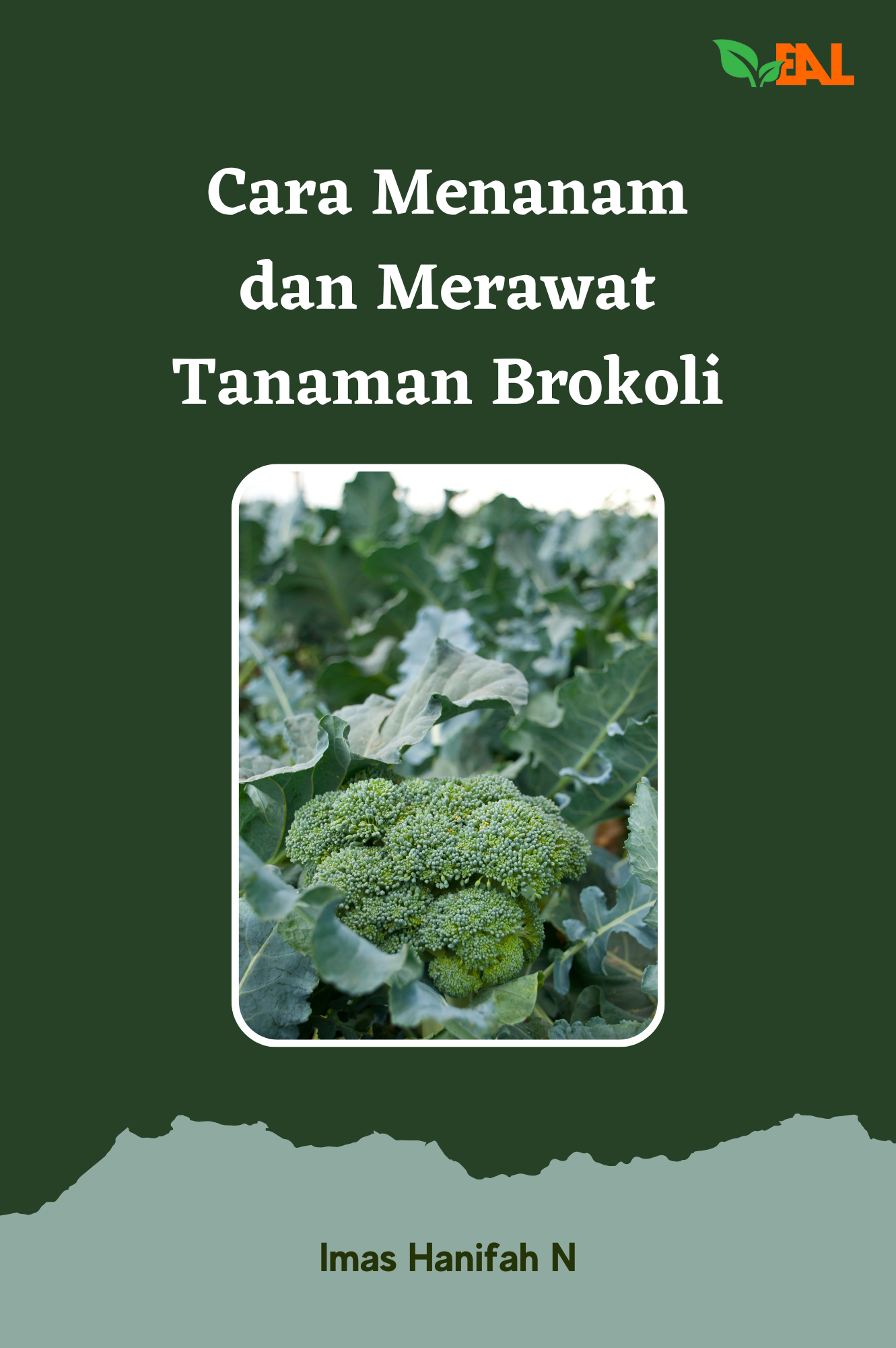 Cara Menanam dan Merawat Tanaman Brokoli