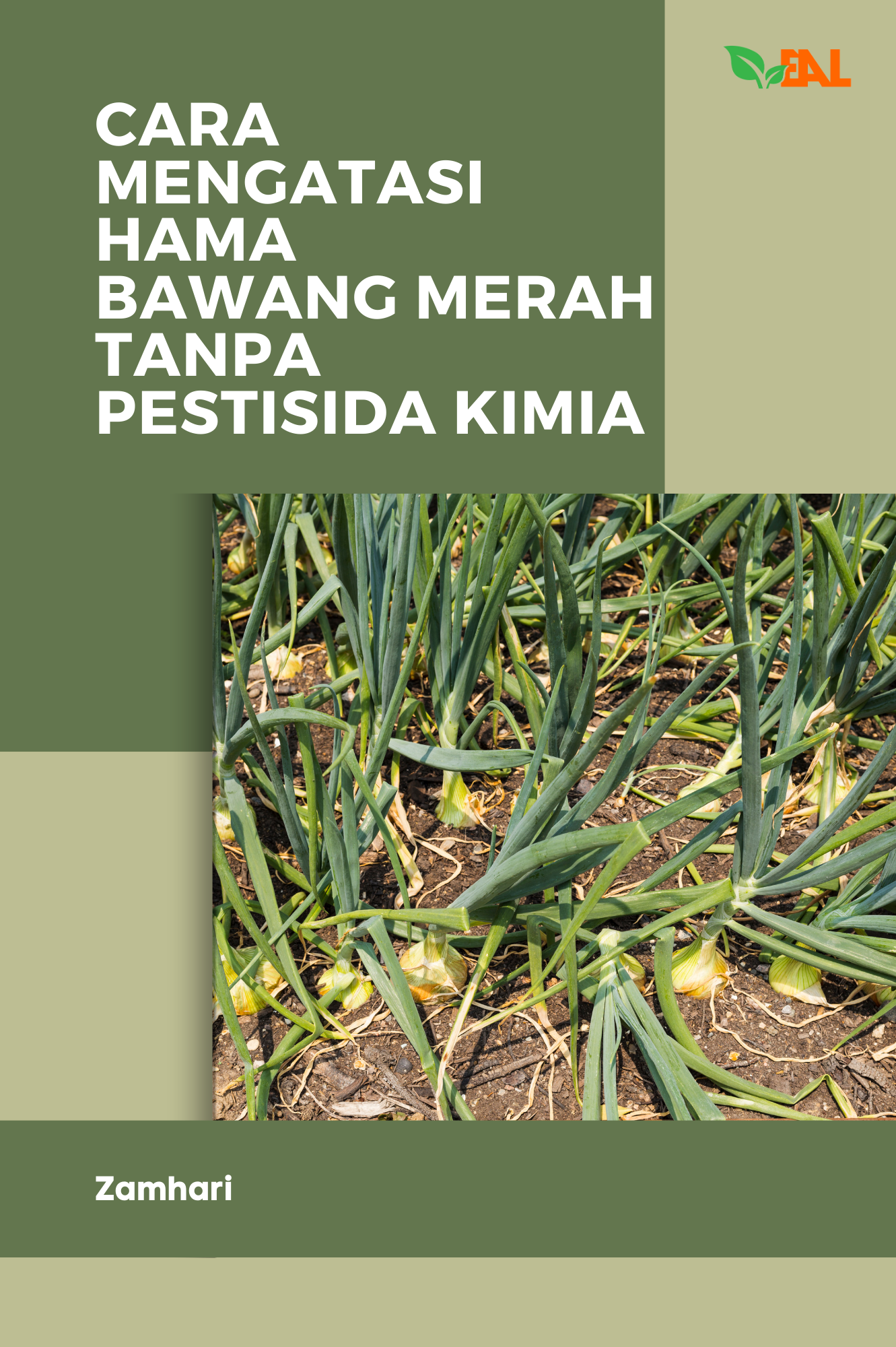 Cara Mengatasi Hama Bawang Merah Tanpa Pestisida Kimia