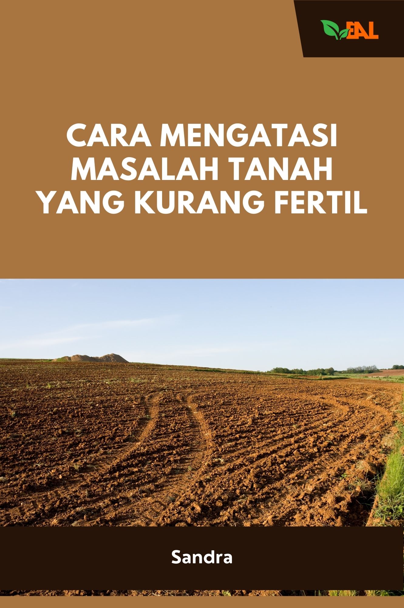 Cara Mengatasi Masalah Tanah yang Kurang Fertil