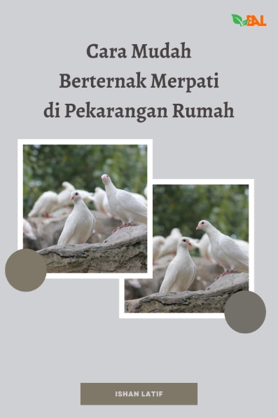 Cara Mudah Beternak Merpati di Pekarangan Rumah