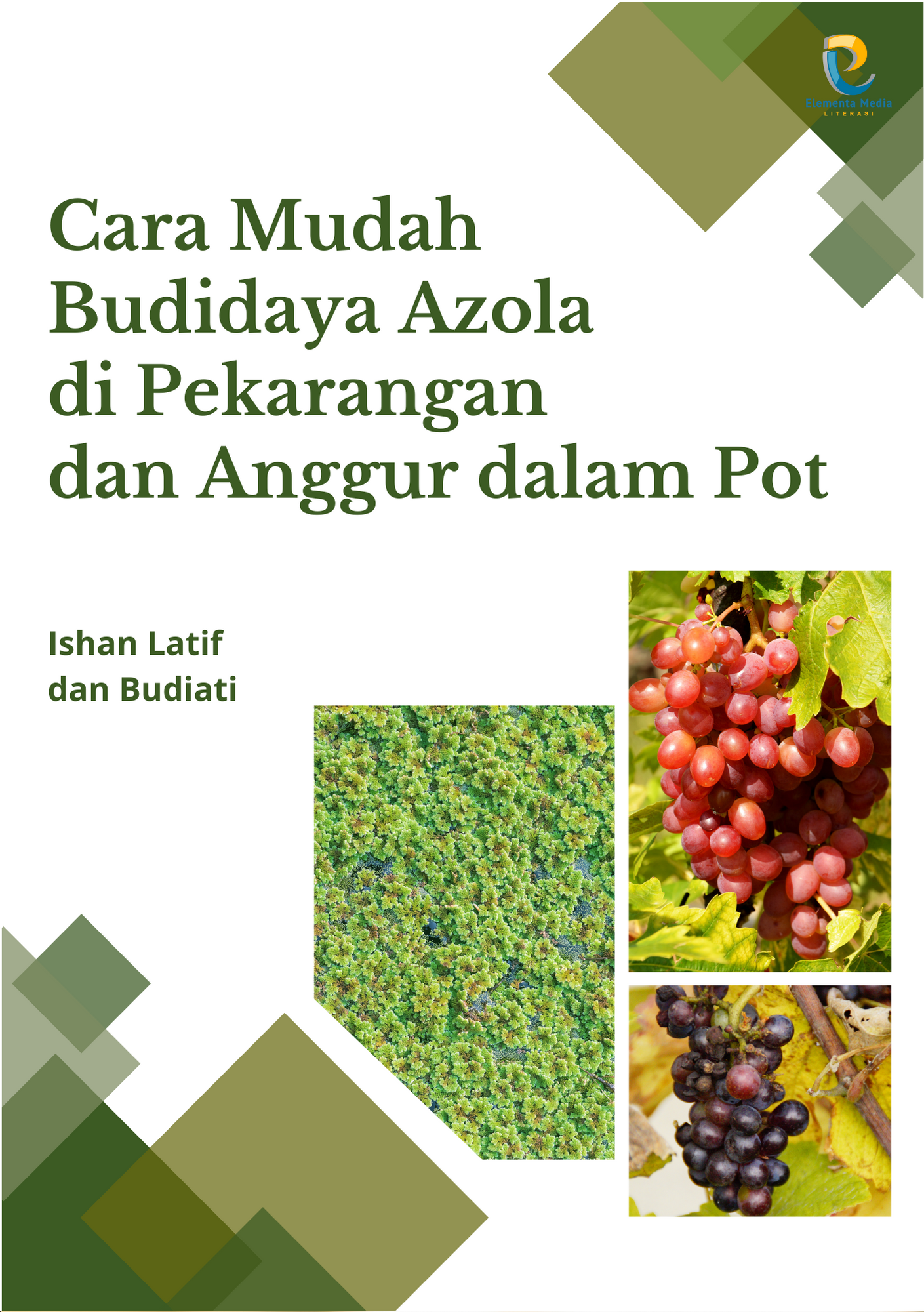Cara Mudah Budidaya Azola di Pekarangan dan Anggur dalam Pot