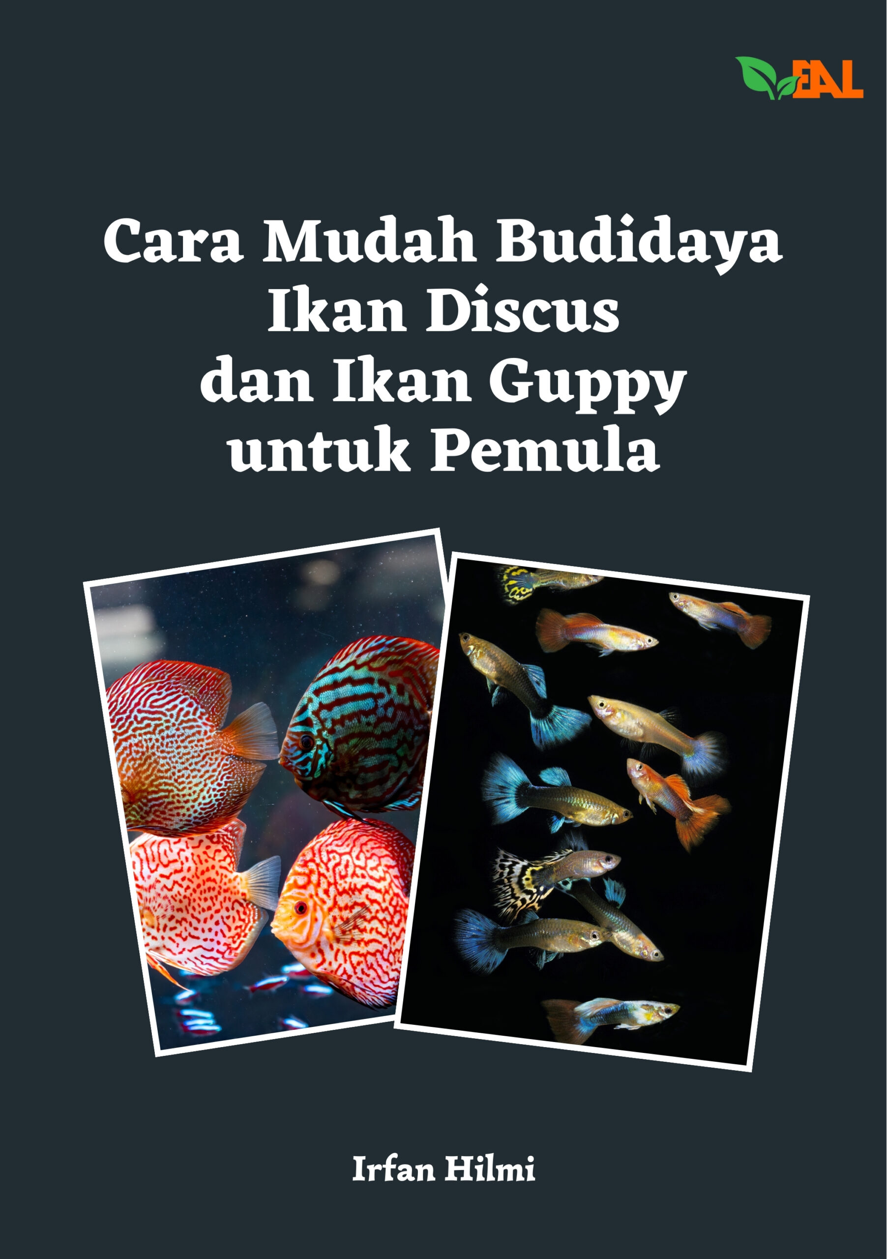 Cara Mudah Budidaya Ikan Discus dan Ikan Guppy untuk Pemula