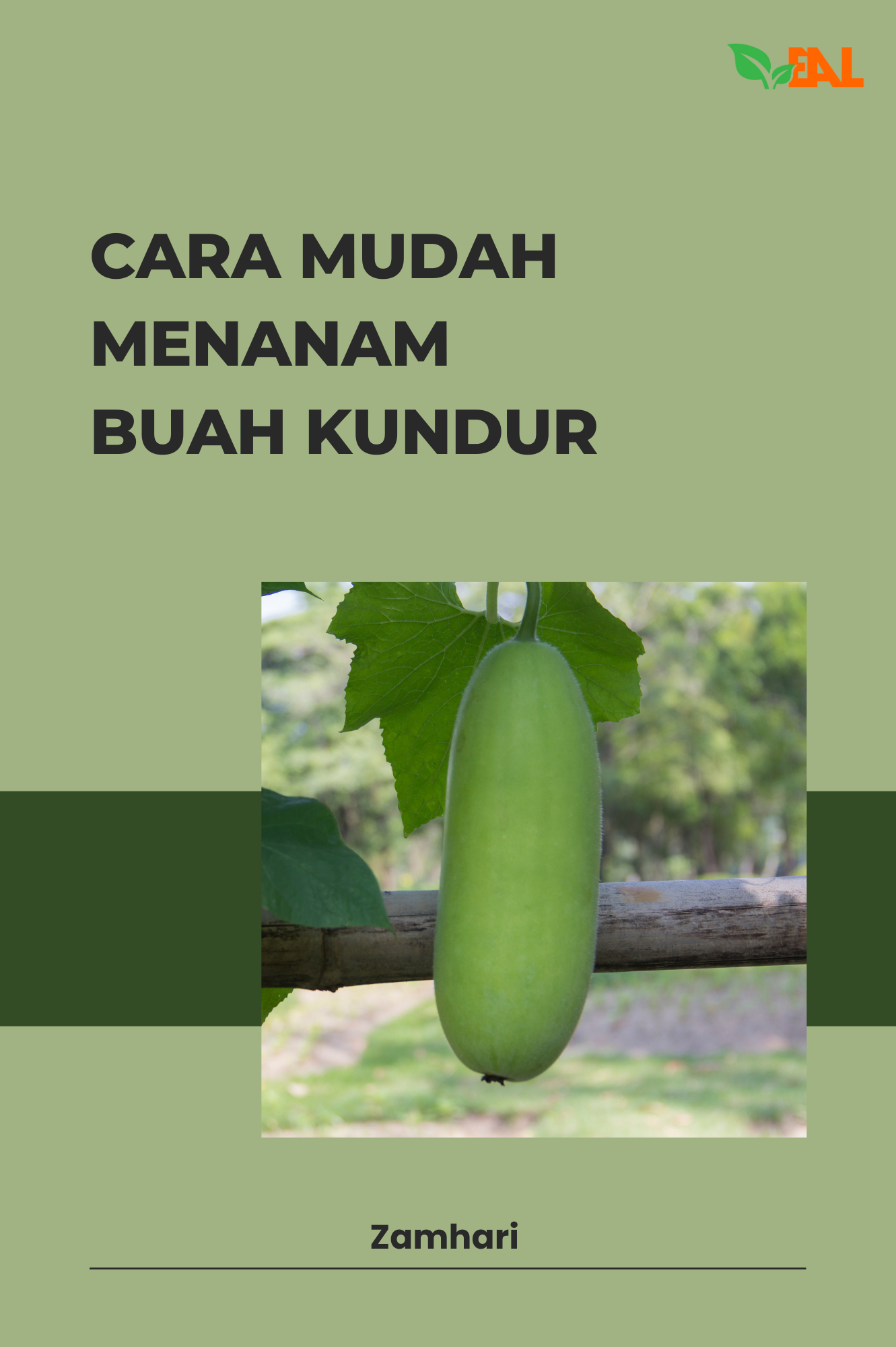 Cara Mudah Menanam Buah Kundur