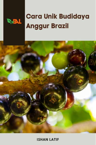 Cara Unik Budidaya Anggur Brazil