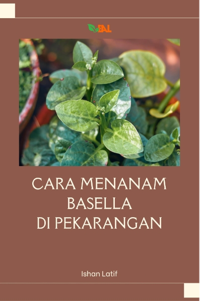 Cara menanam basella di pekarangan