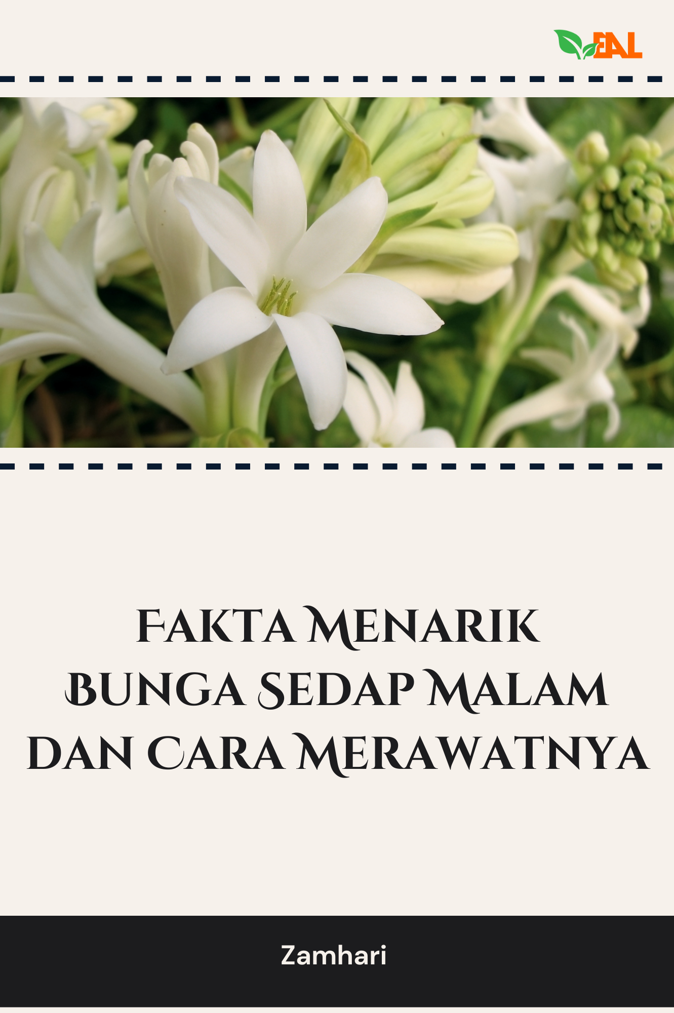 Fakta Menarik Bunga Sedap Malam dan Cara Merawatnya