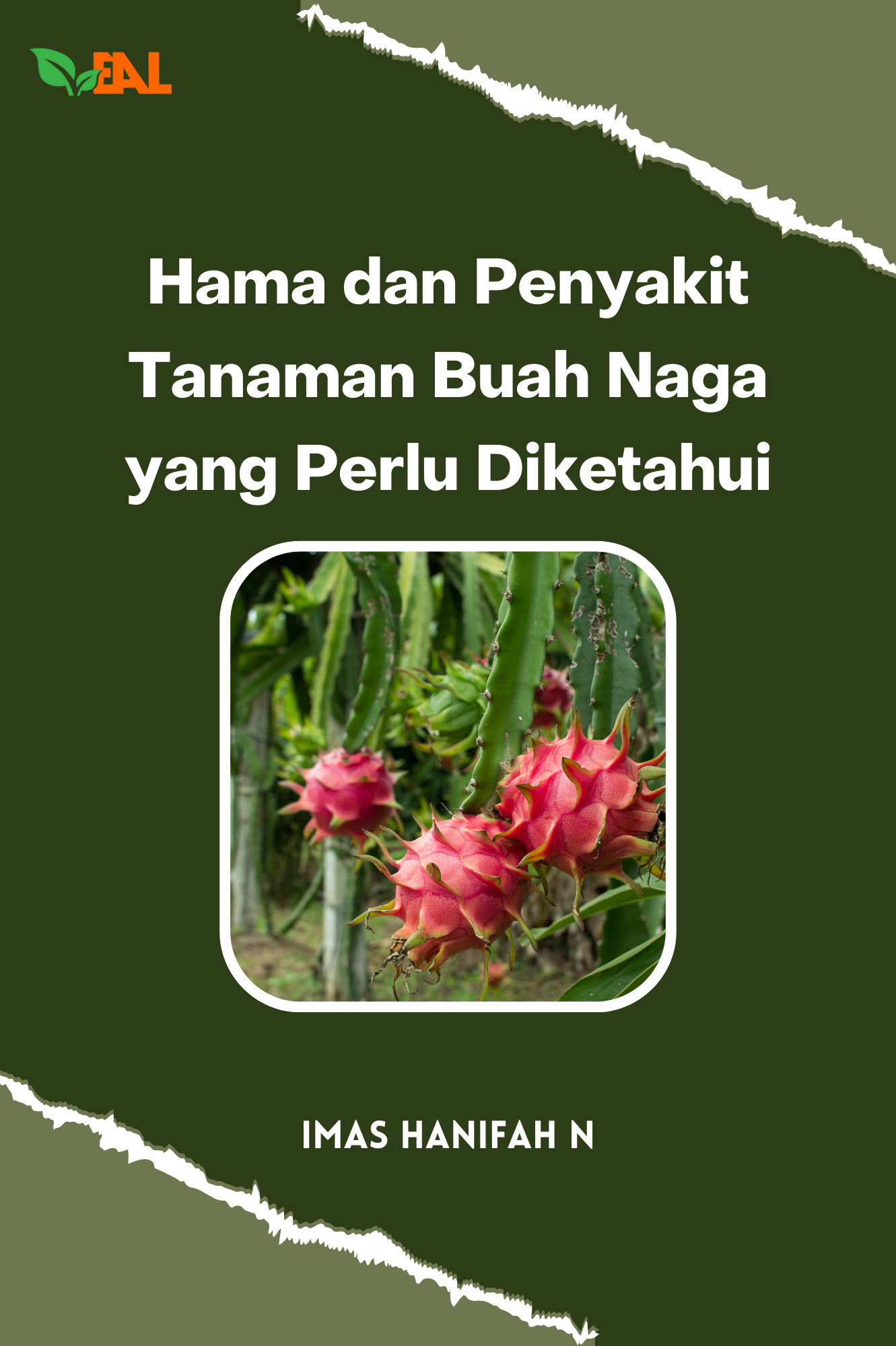 Hama dan Penyakit Tanaman Buah Naga yang Perlu Diketahui