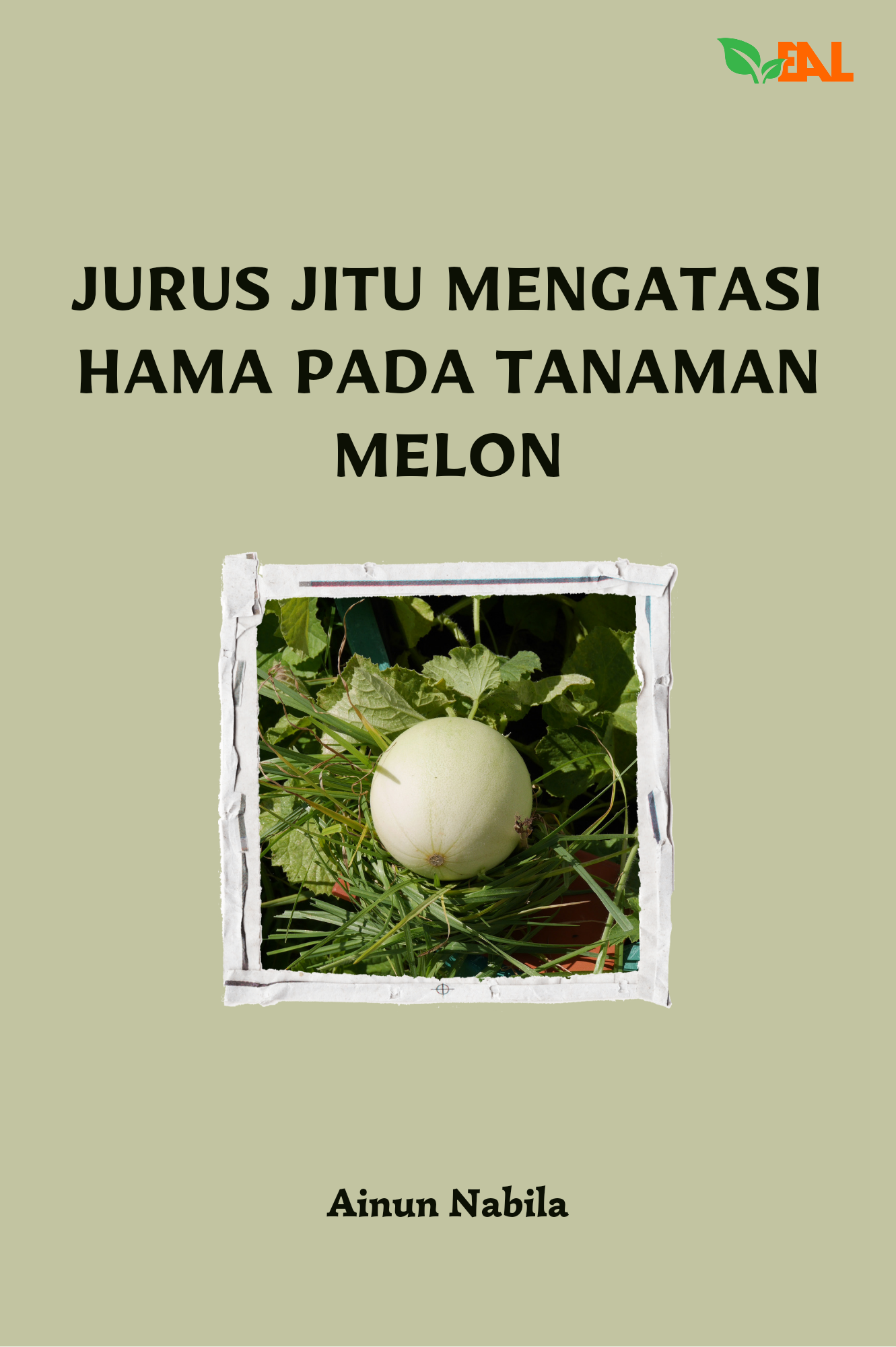Jurus Jitu Mengatasi Hama pada Tanaman Melon