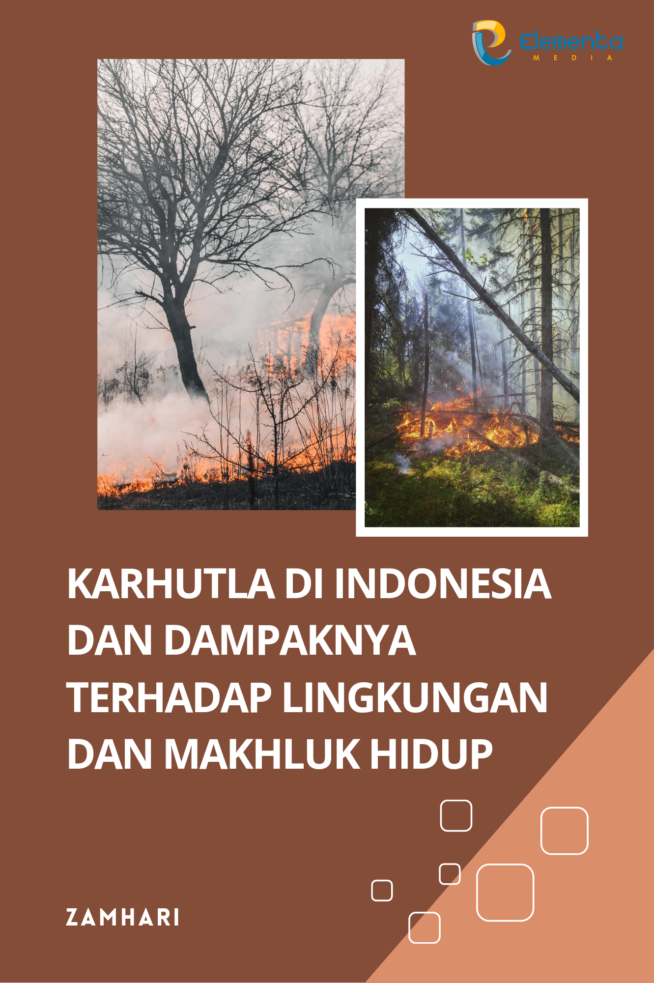 Karhutla di Indonesia dan Dampaknya Terhadap Lingkungan dan Makhluk Hidup