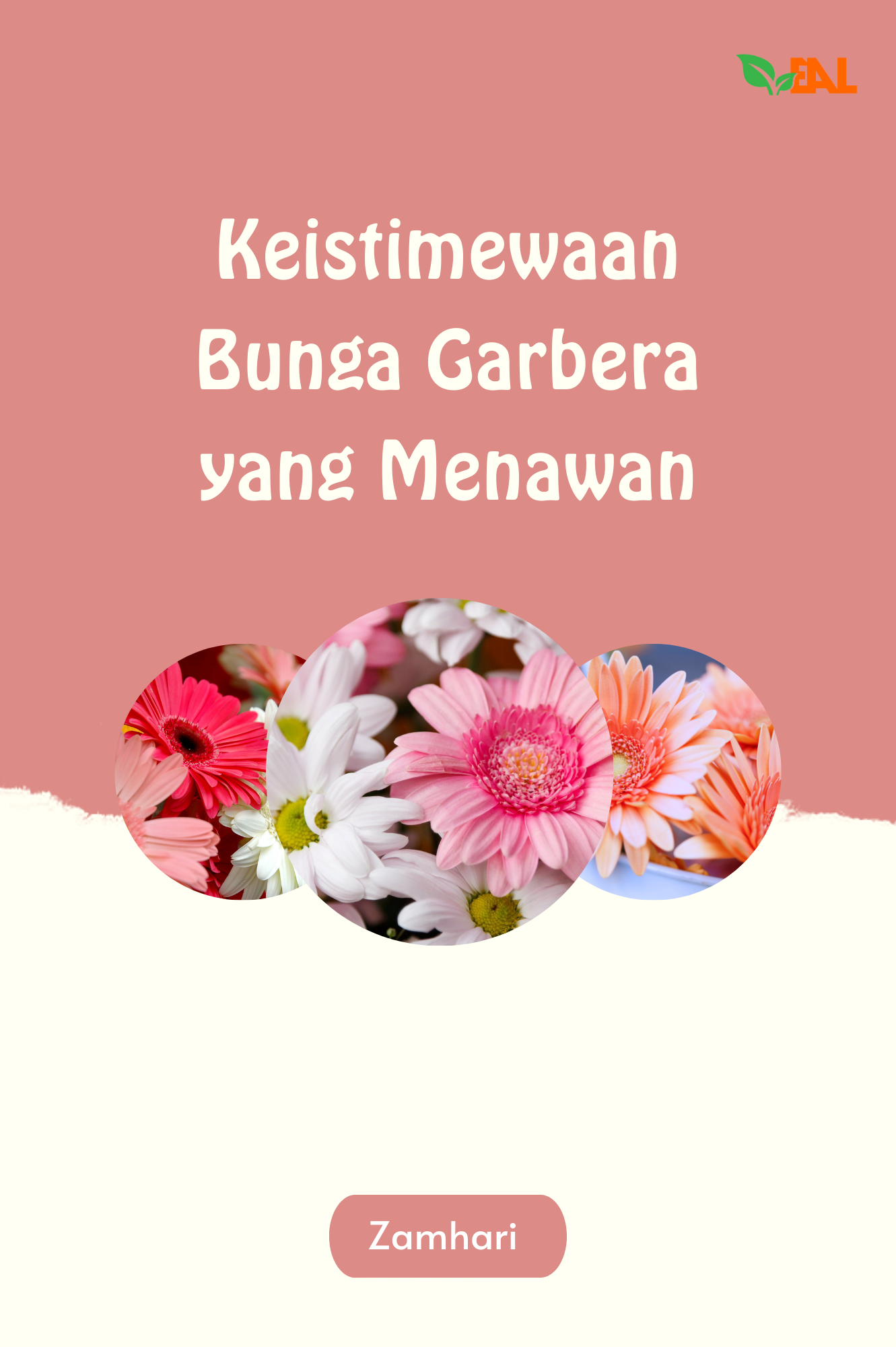 Keistimewaan Bunga Garbera yang Menawan