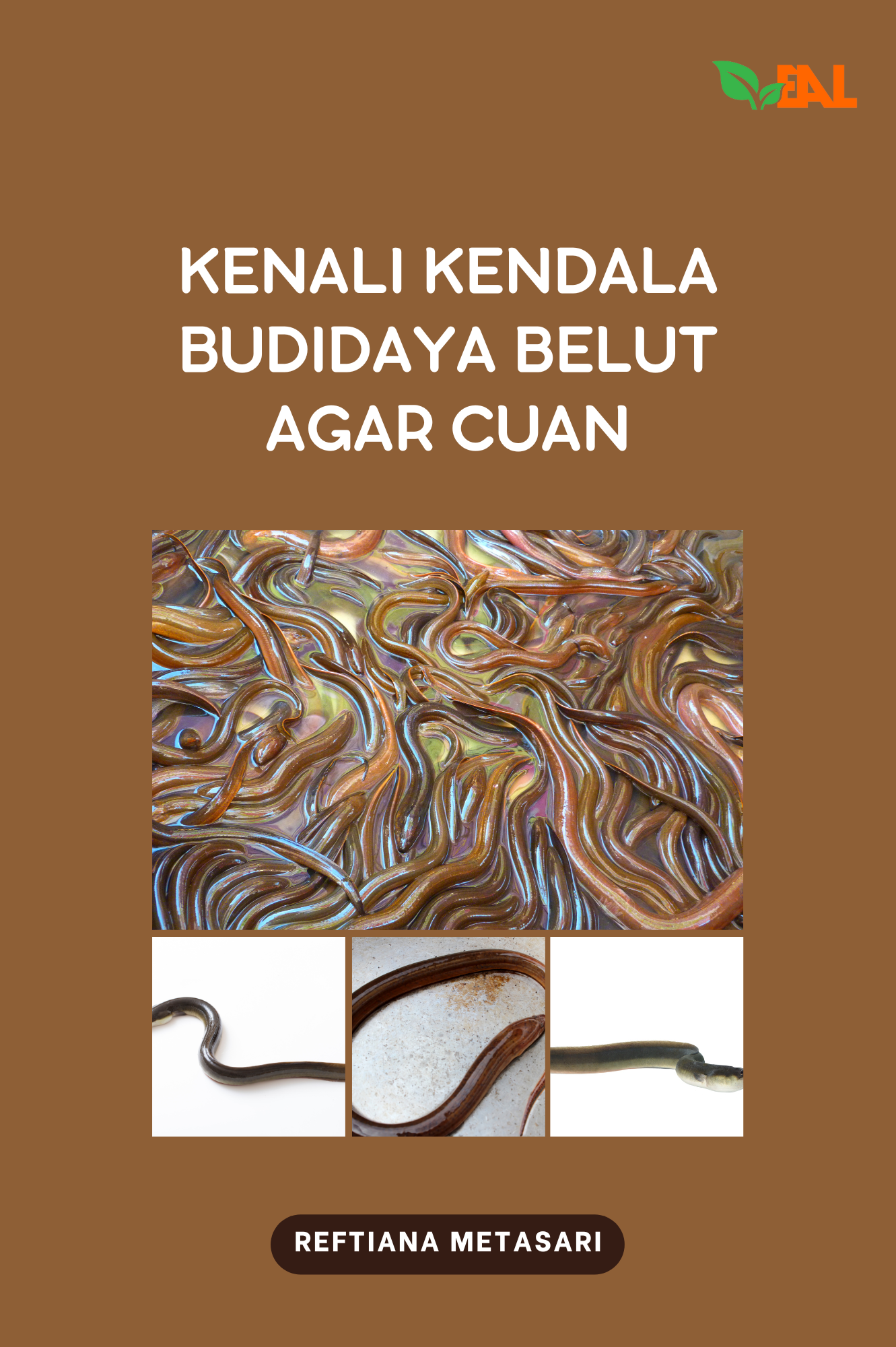 Kenali Kendala Budidaya Belut Agar Cuan