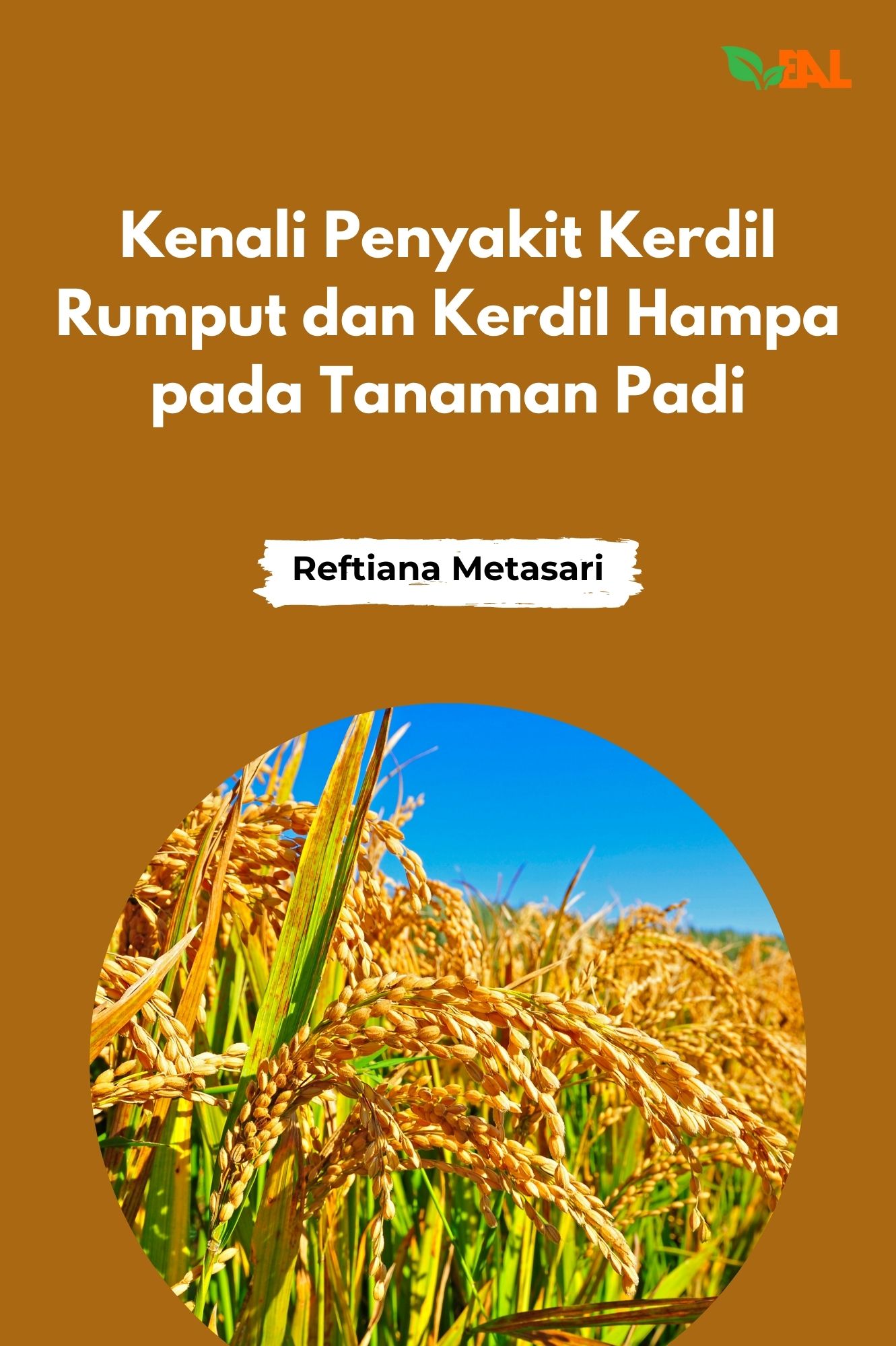 Kenali Penyakit Kerdil Rumput dan Kerdil Hampa pada Tanaman Padi