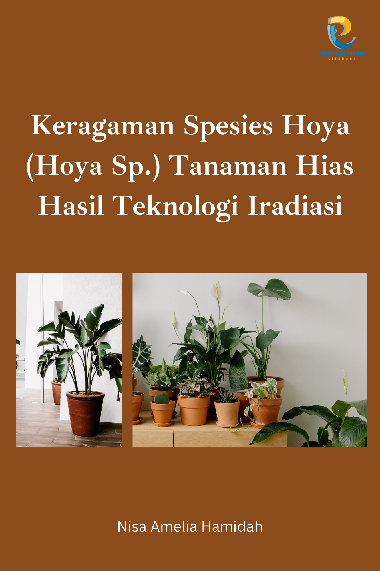 Keragaman Spesies Hoya (Hoya Sp.) Tanaman Hias Hasil Teknologi Iradiasi