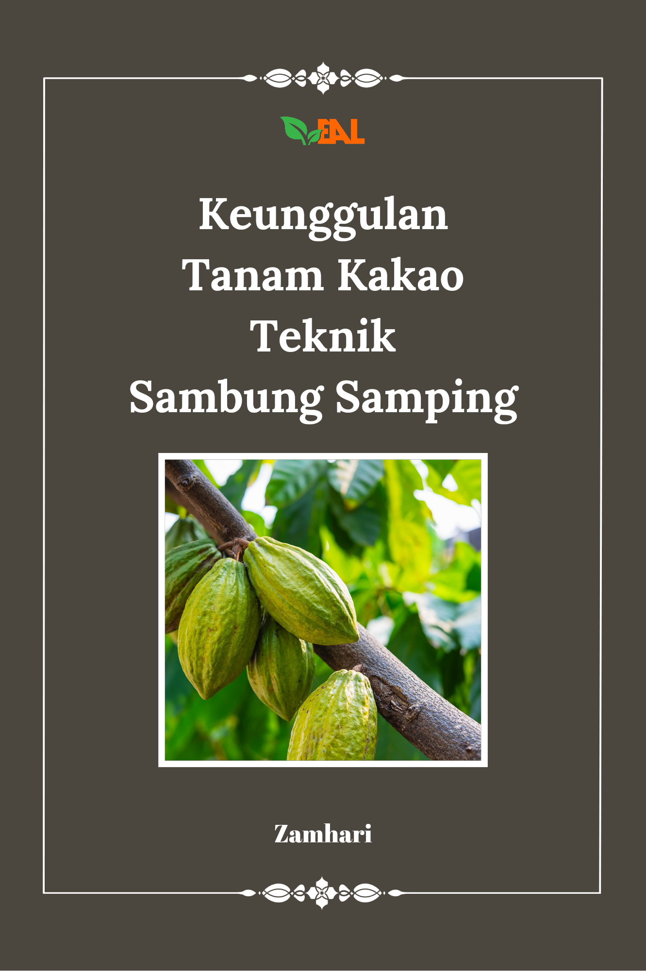 Keunggulan Tanam Kakao Teknik Sambung Samping