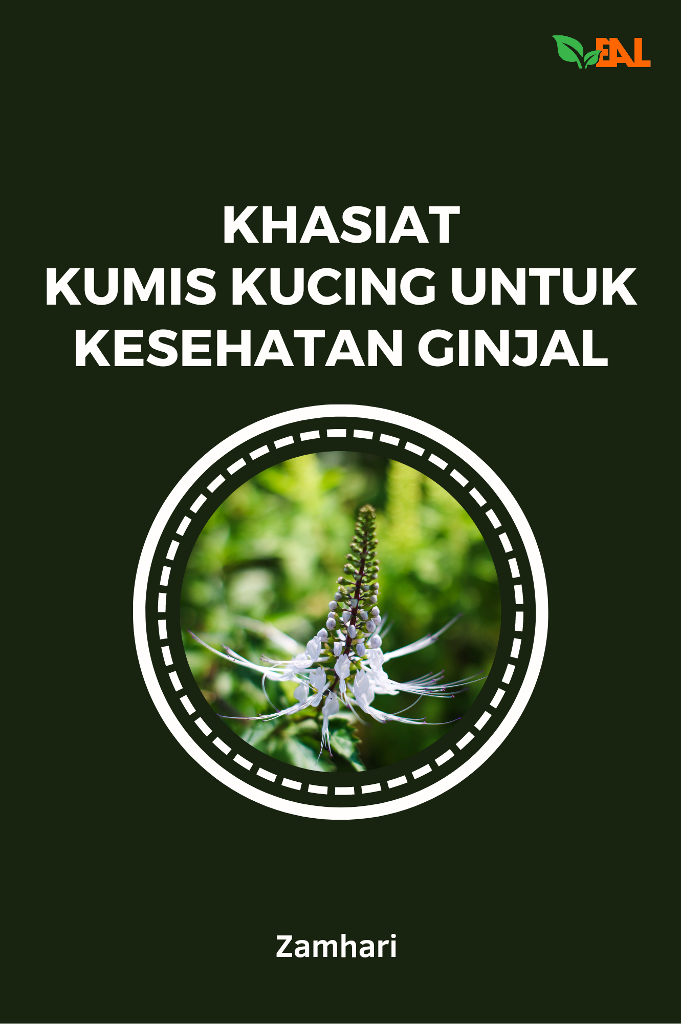Khasiat Kumis Kucing untuk Kesehatan Ginjal
