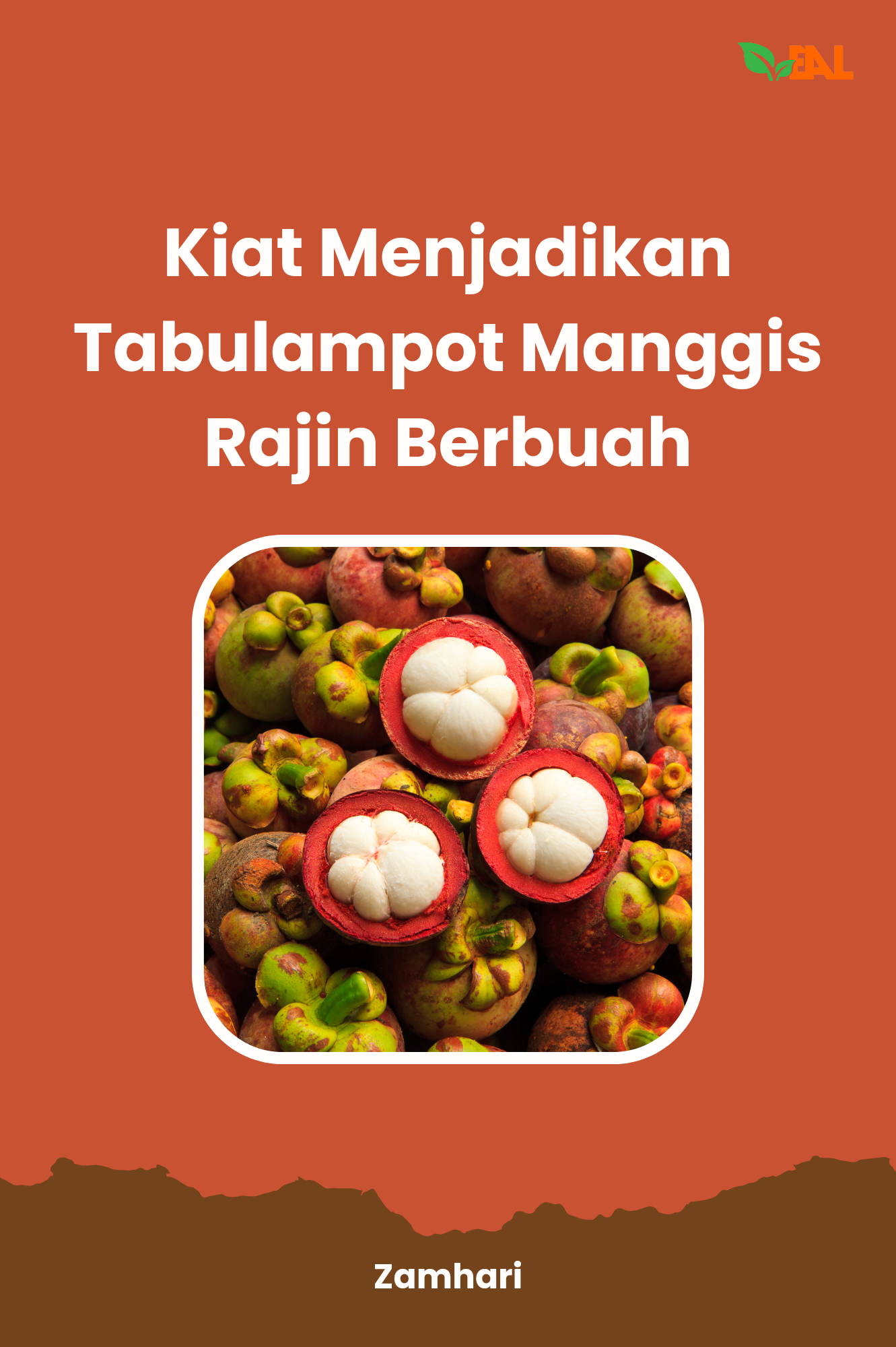 Kiat Menjadikan Tabulampot Manggis Rajin Berbuah