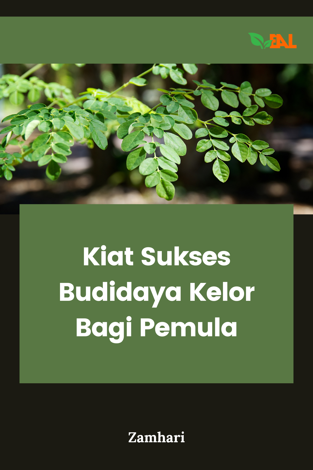 Kiat Sukses Budidaya Kelor Bagi Pemula