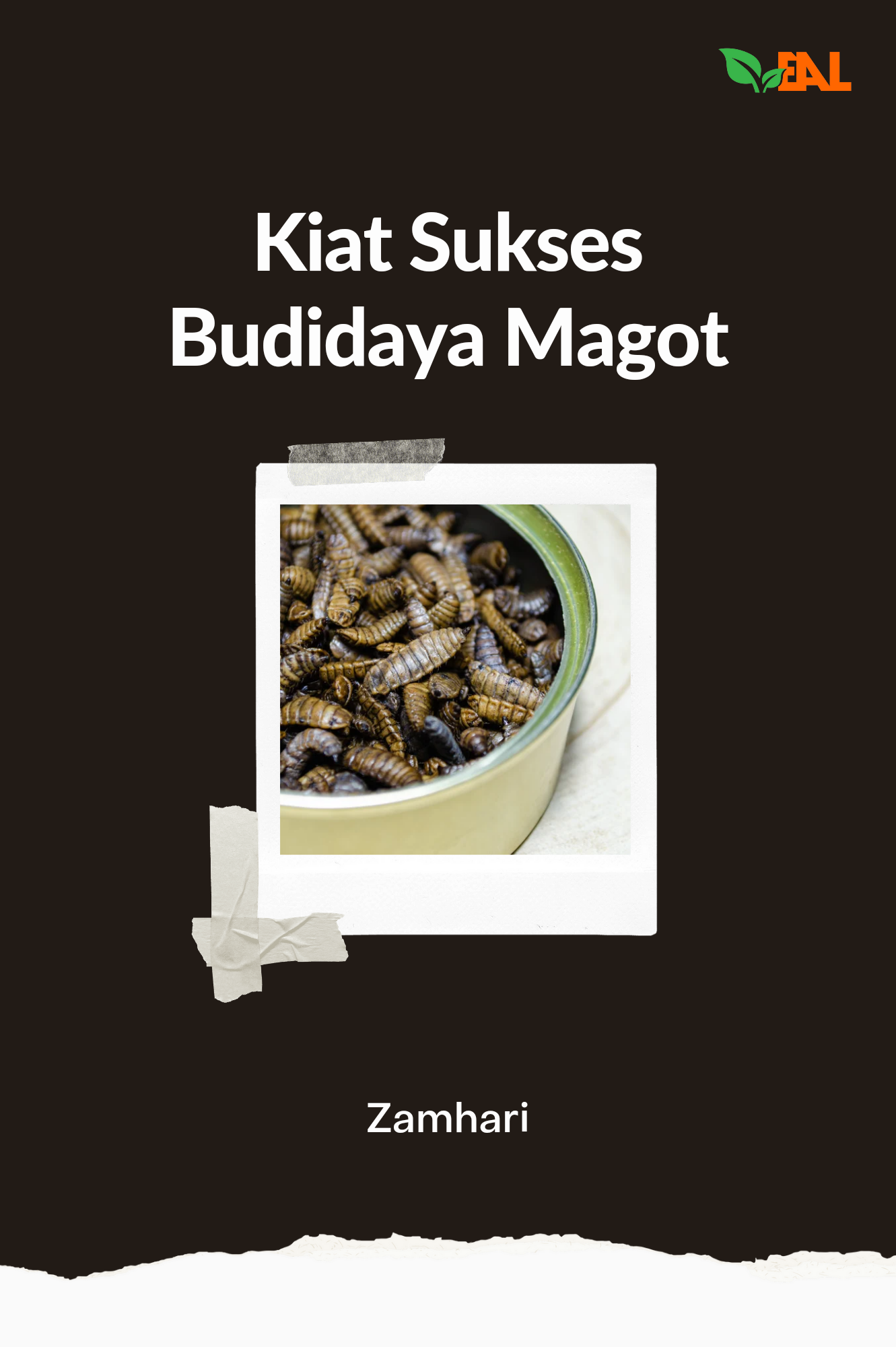 Kiat Sukses Budidaya Magot