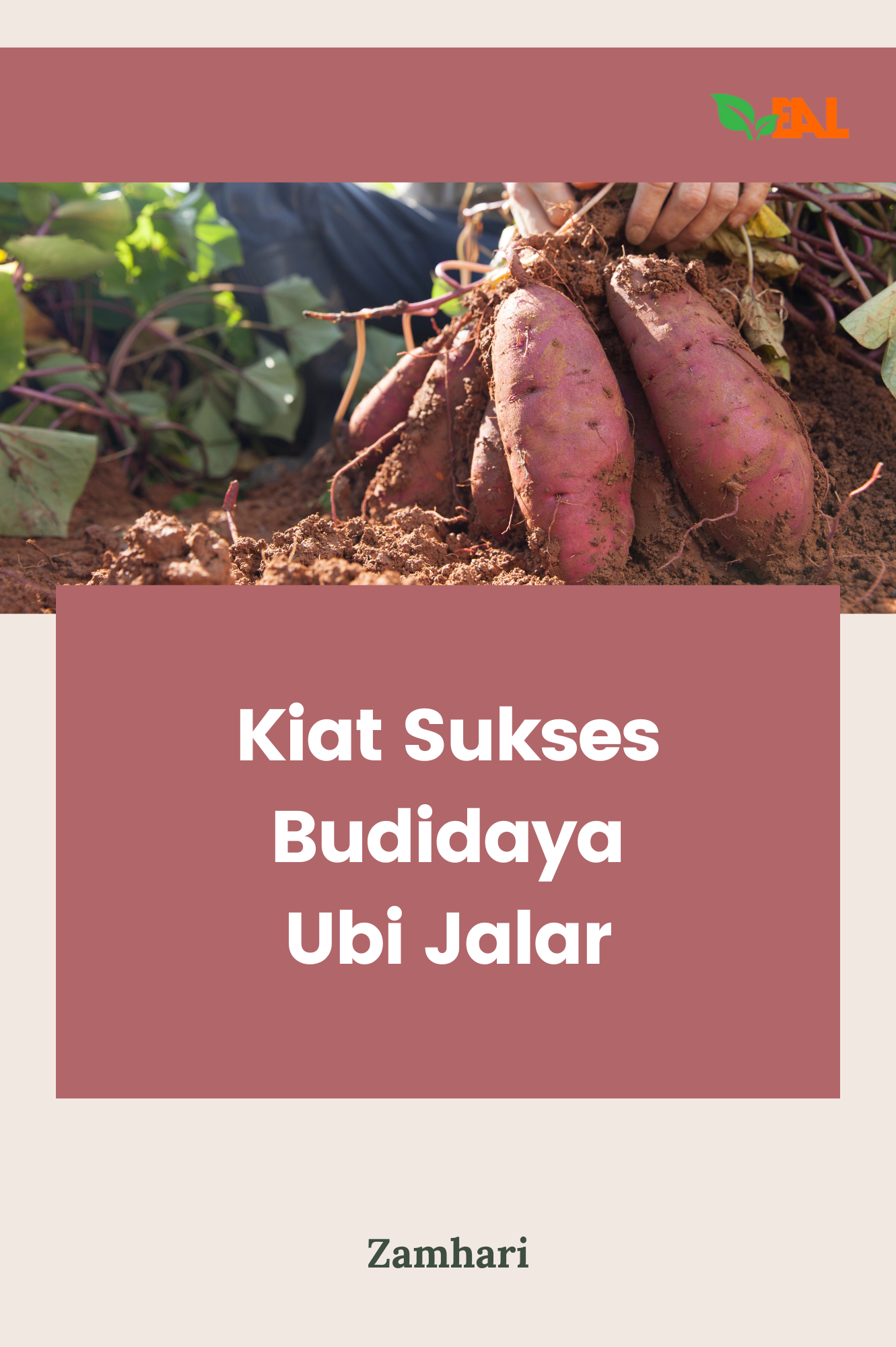 Kiat Sukses Budidaya Ubi Jalar